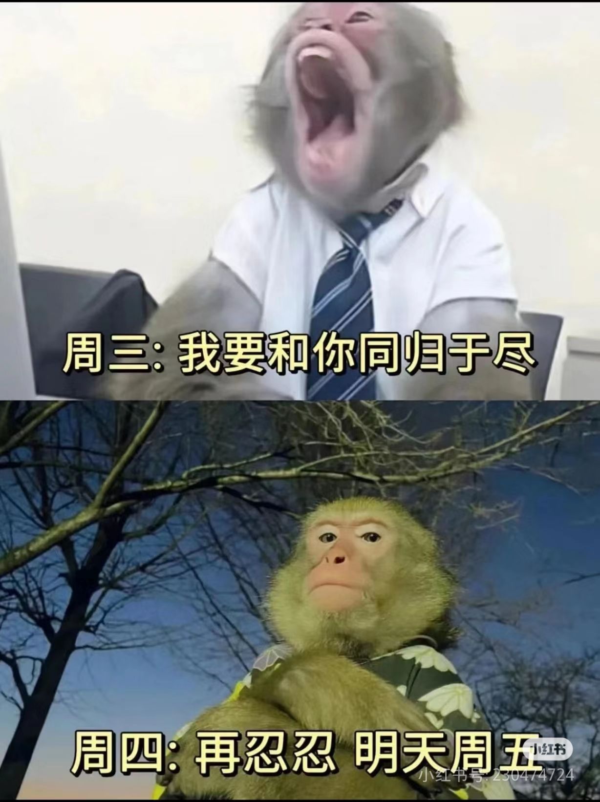 /static/7cb77b23e6fcf7d4e50a1a8d4b151ec1a9e55fe2c5c40d7248a897ff4984e72f.jpg