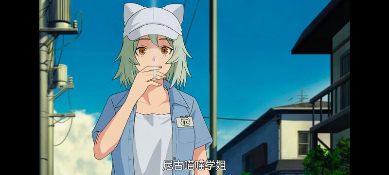 尼古喵喵,雅尼猫,动画,动漫,番剧,日漫,二次元,ACG