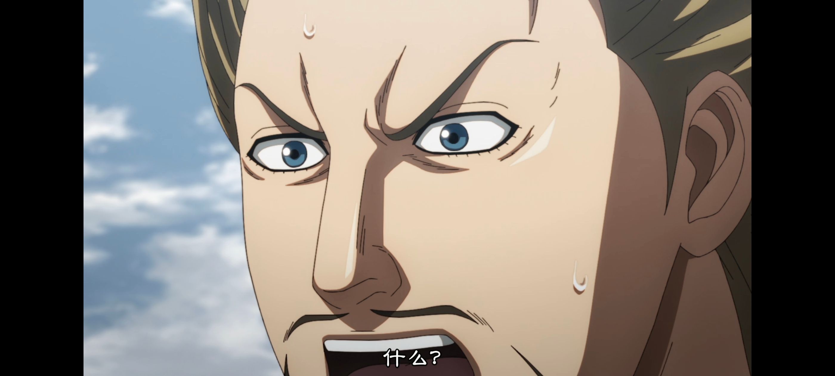 王者天下,动画,动漫,番剧,ACG