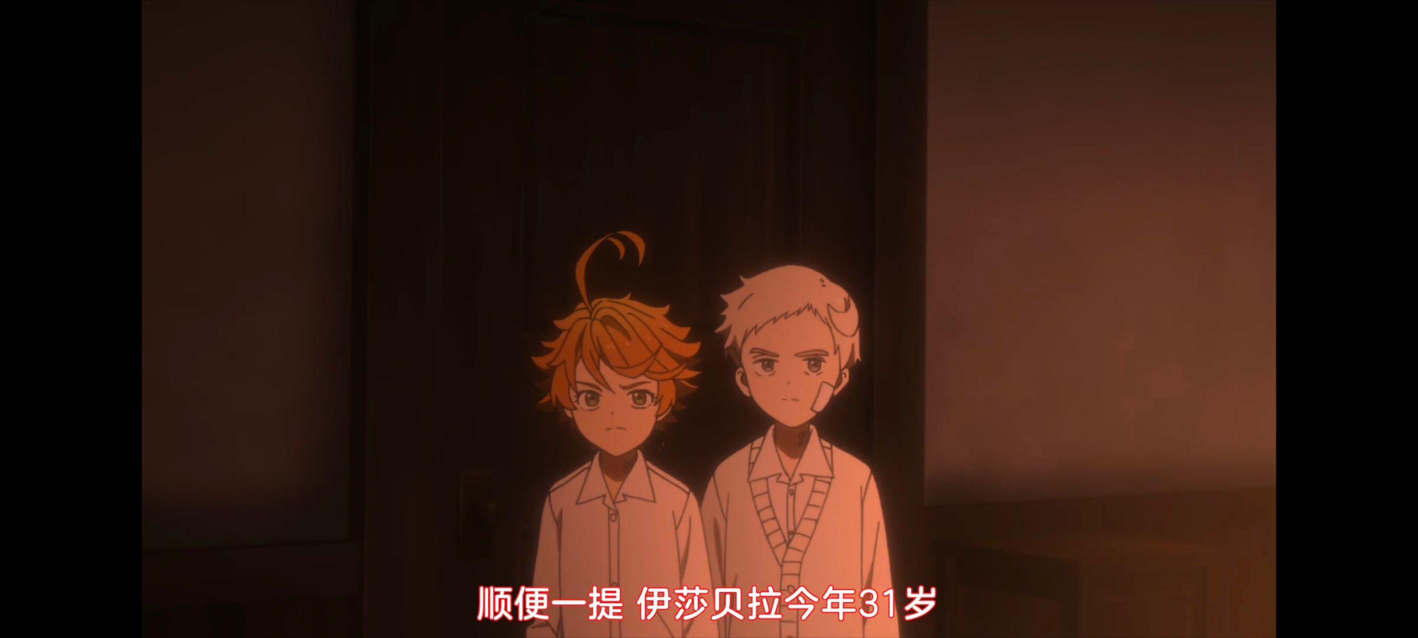 约定的梦幻岛,动画,动漫,番剧,二次元,ACG