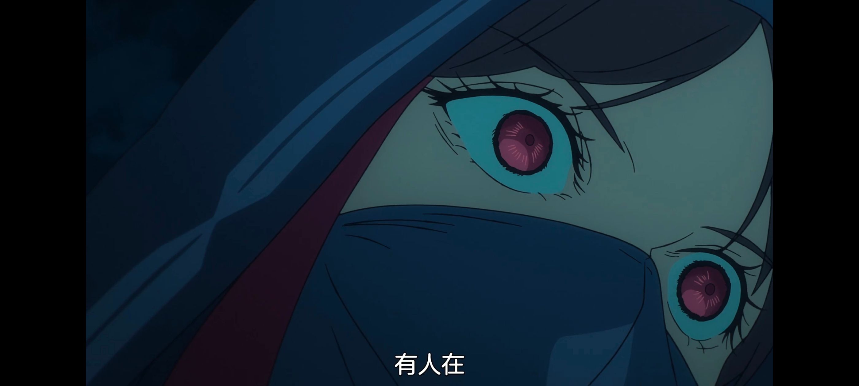 命运奇异赝品,FatestrangeFake,动画,动漫,番剧,ACG