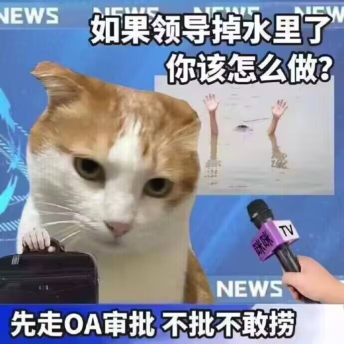 弔图,meme,涩图