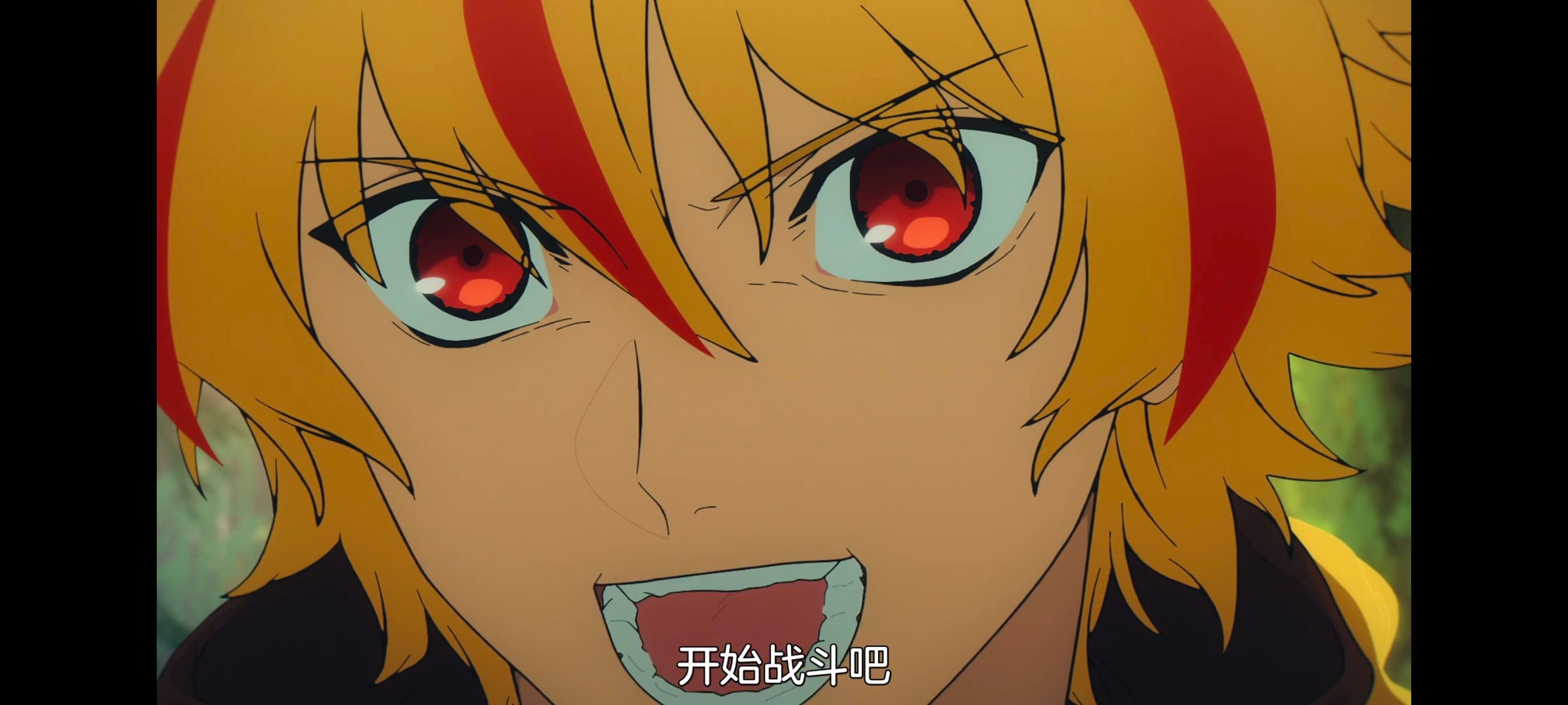 命运奇异赝品,FatestrangeFake,动画,动漫,番剧,ACG