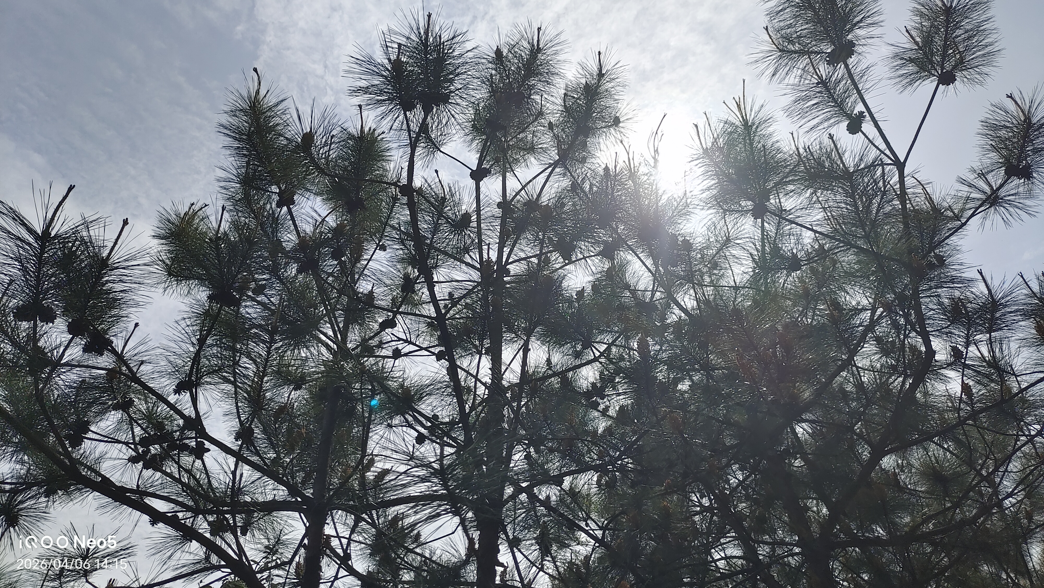 跑山,旅行,假期,生活,湖州