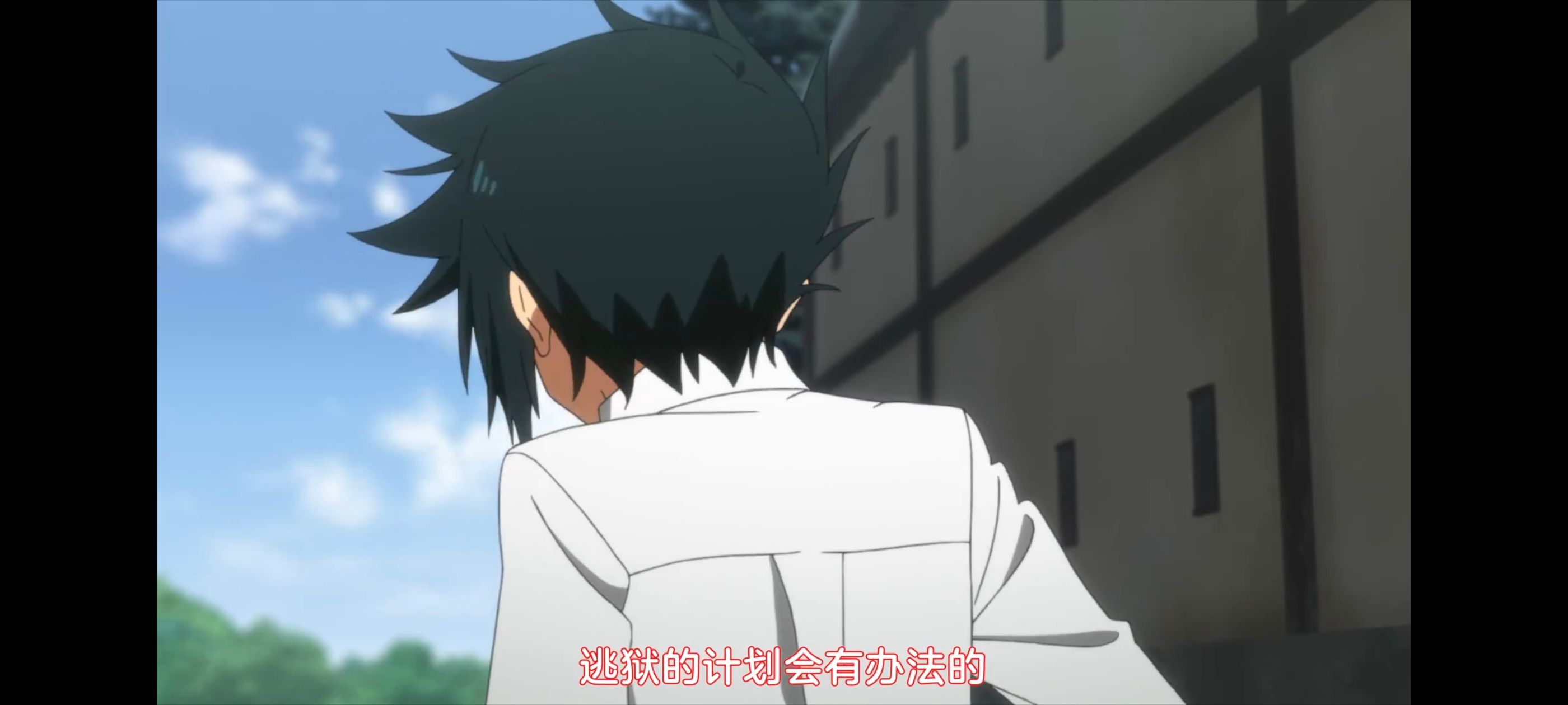 约定的梦幻岛,动画,动漫,番剧,二次元,ACG