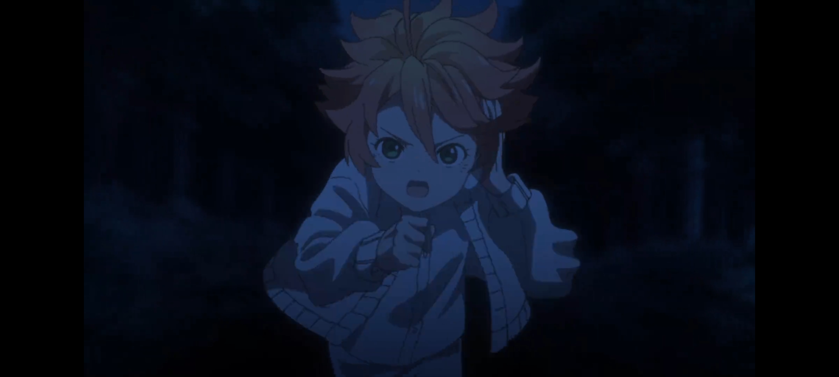 约定的梦幻岛,动画,动漫,番剧,二次元,ACG