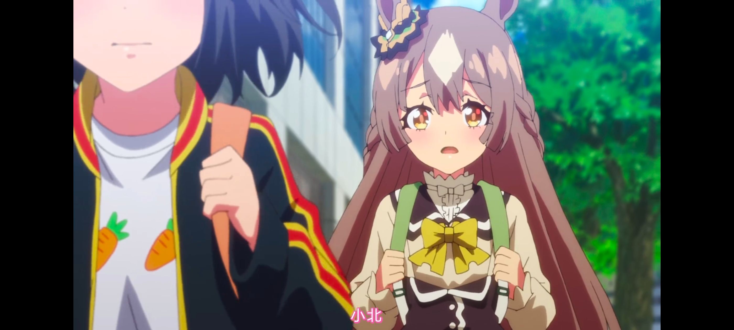 赛马娘,赛马娘PrettyDreby,赛马娘第二季,动画,动漫,番剧,二次元,ACG