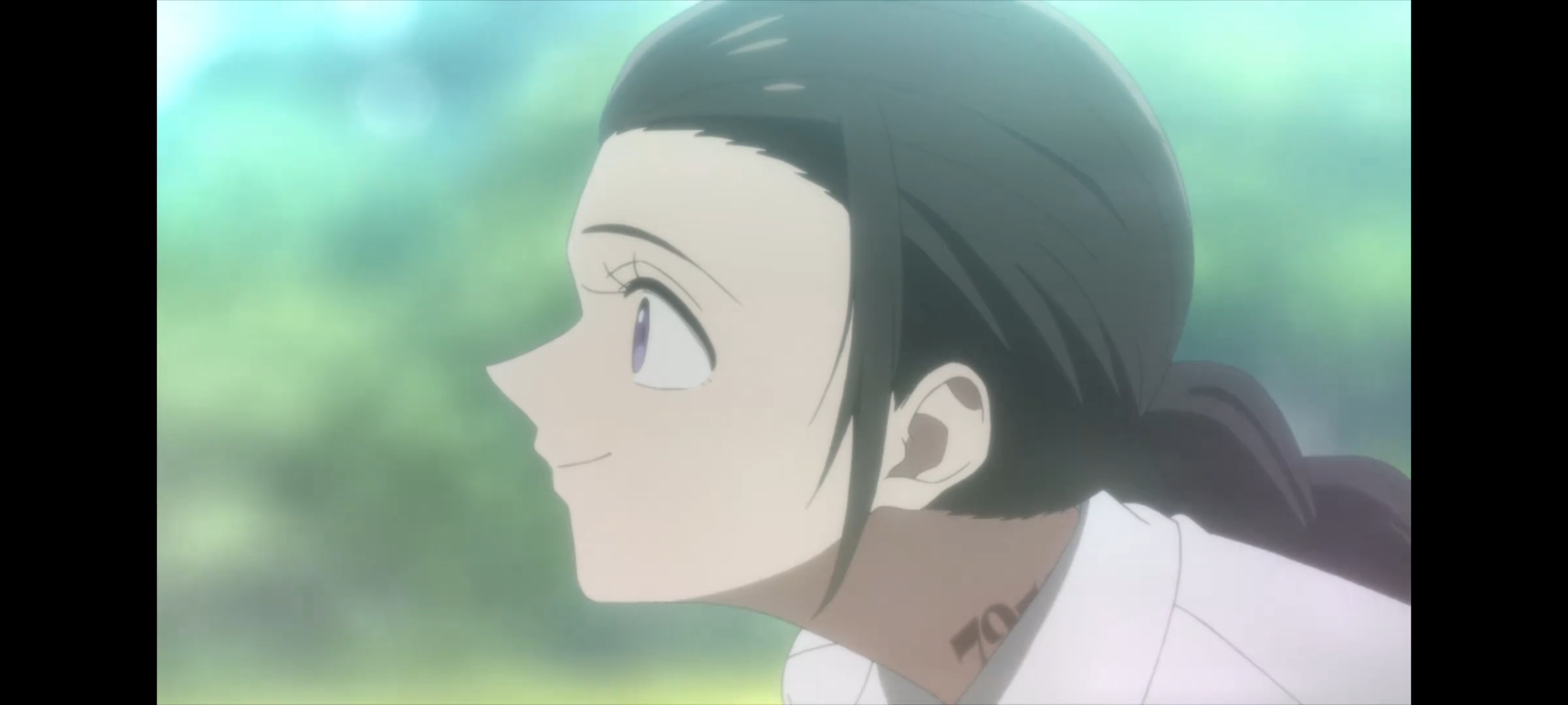 约定的梦幻岛,动画,动漫,番剧,二次元,ACG