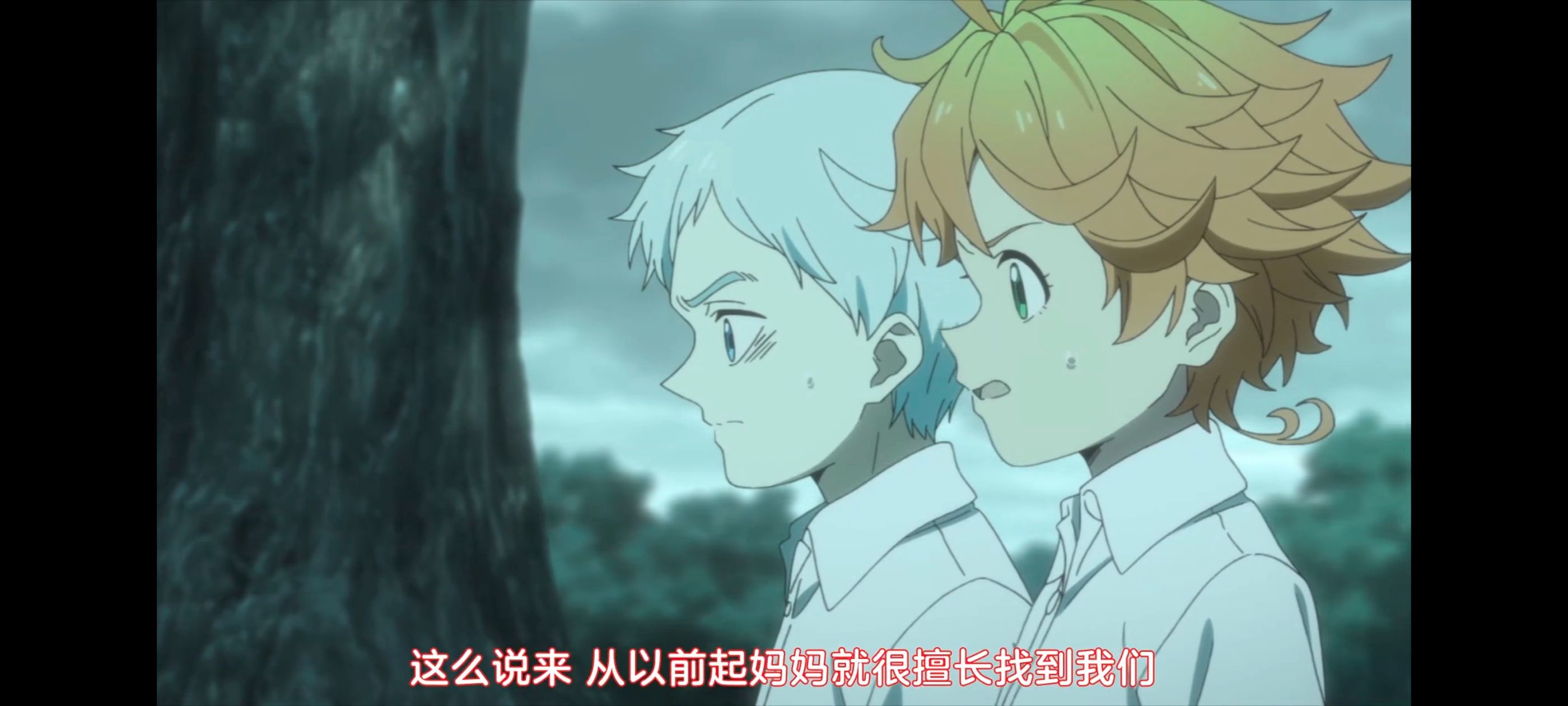 约定的梦幻岛,动画,动漫,番剧,ACG