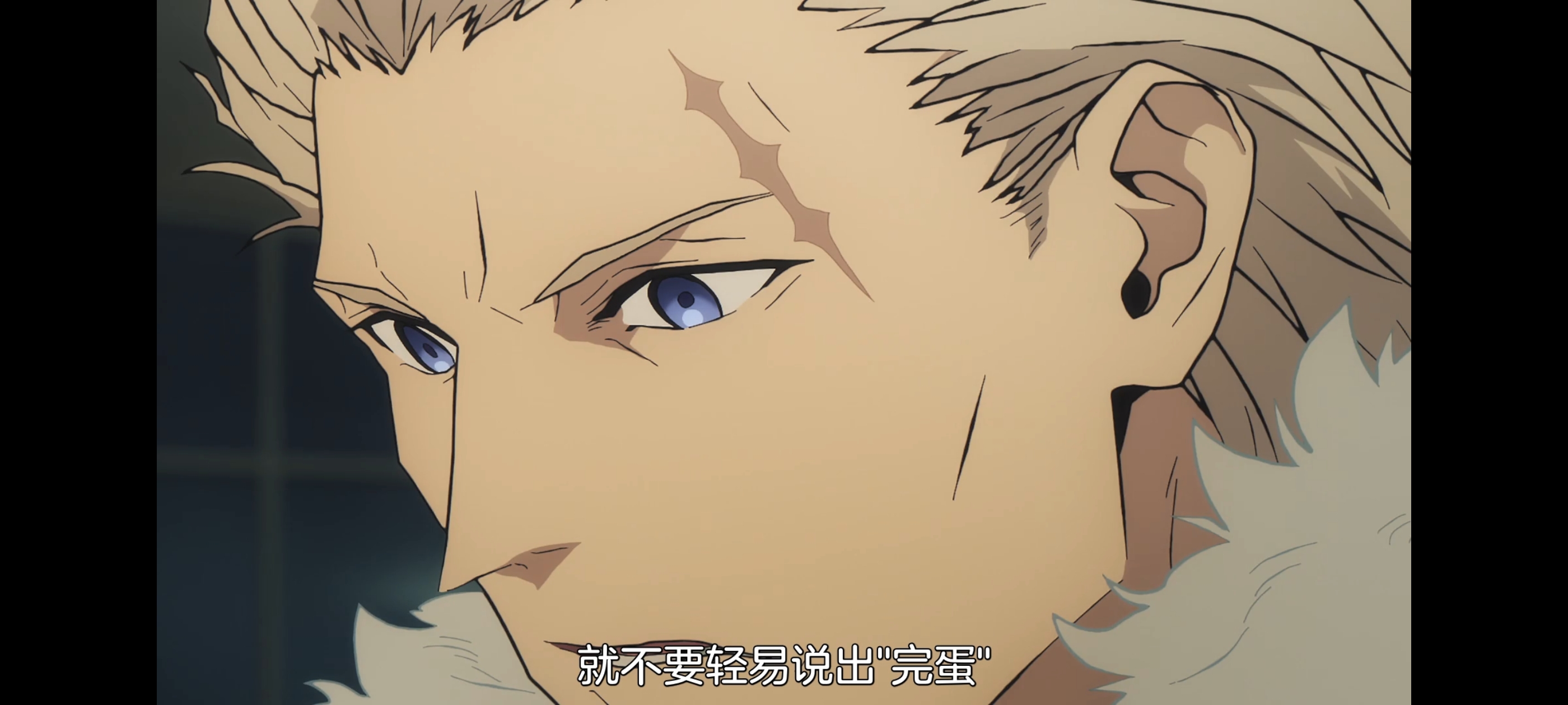 命运奇异赝品,FATE,FatestrangeFake,动画,动漫,番剧,二次元,ACG