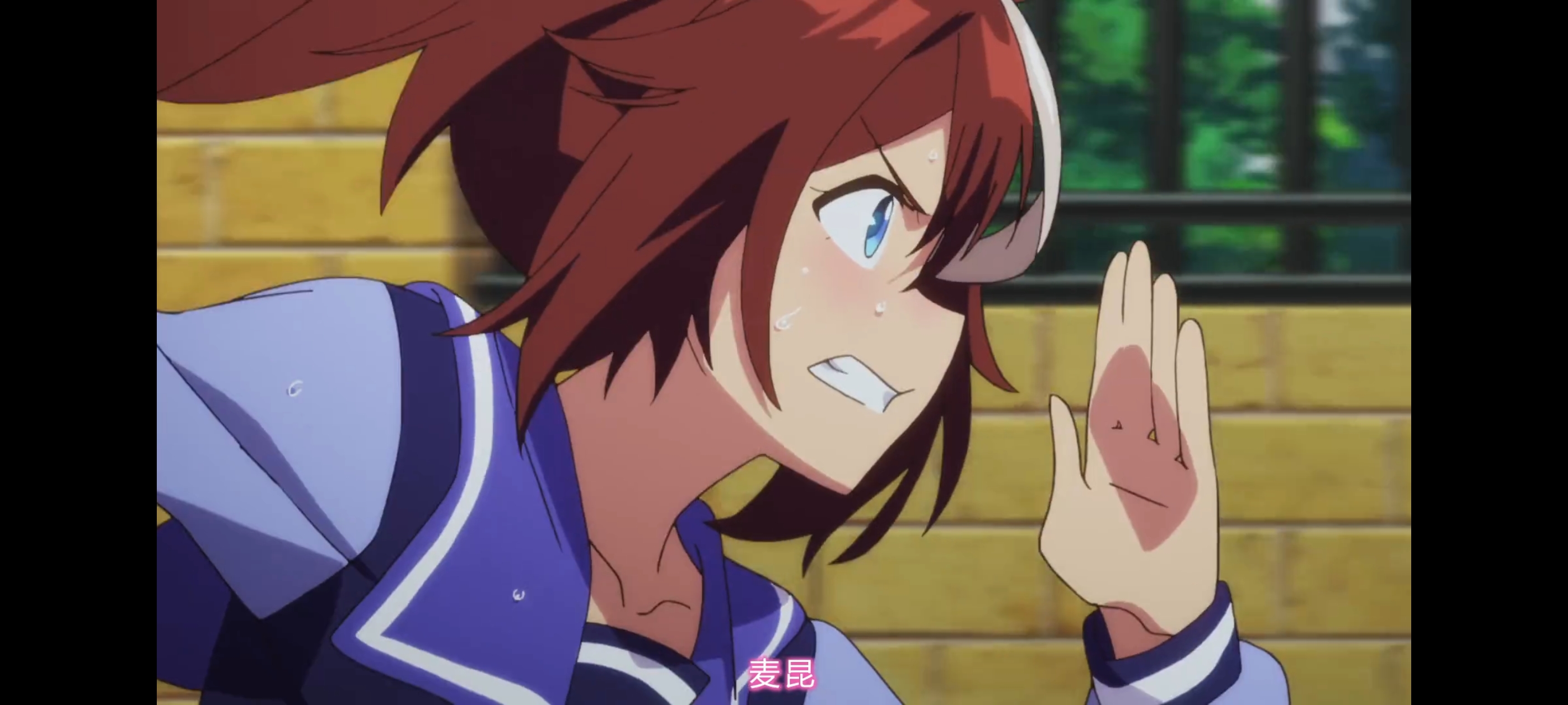 赛马娘,赛马娘第二季,赛马娘PrettyDerby,动画,动漫,番剧,二次元,ACG