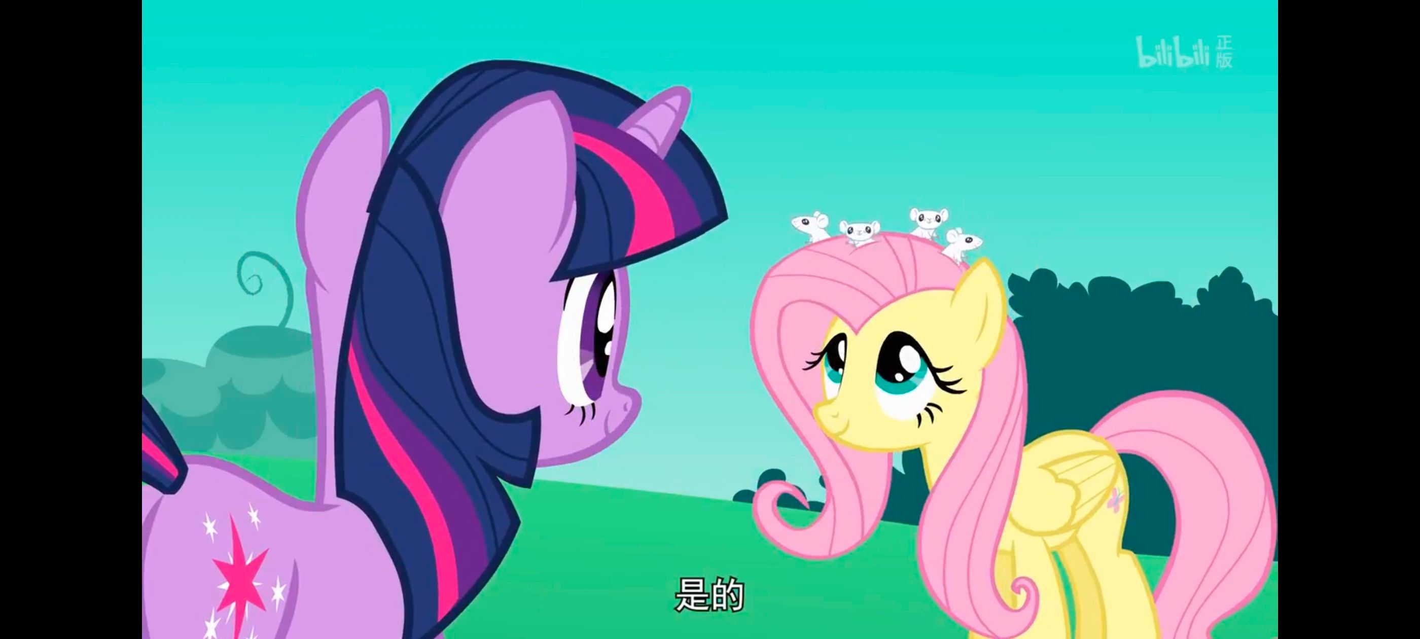 小马宝莉,小马宝莉友谊魔法,彩虹小马,我的小马驹,动画,动漫,番剧,ACG