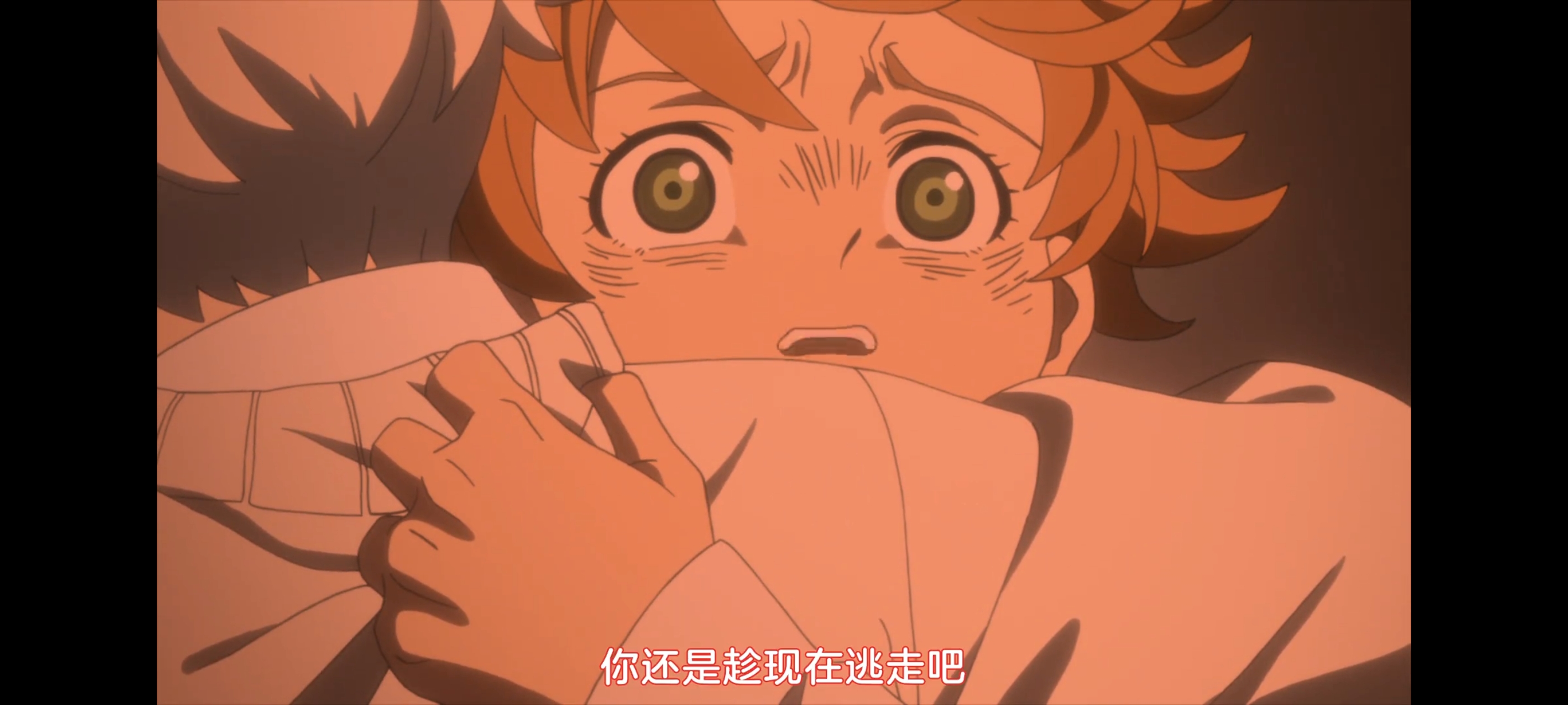 约定的梦幻岛,动画,动漫,番剧,二次元,ACG