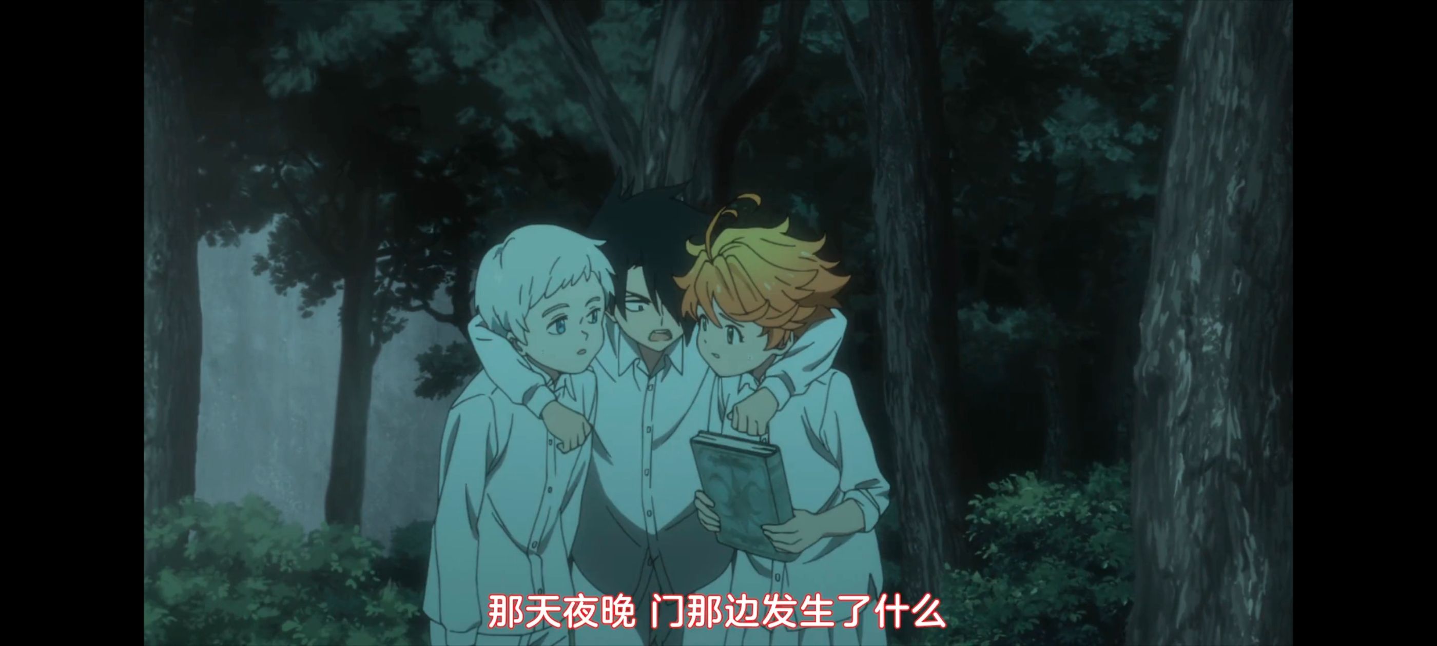 约定的梦幻岛,动画,动漫,番剧,ACG