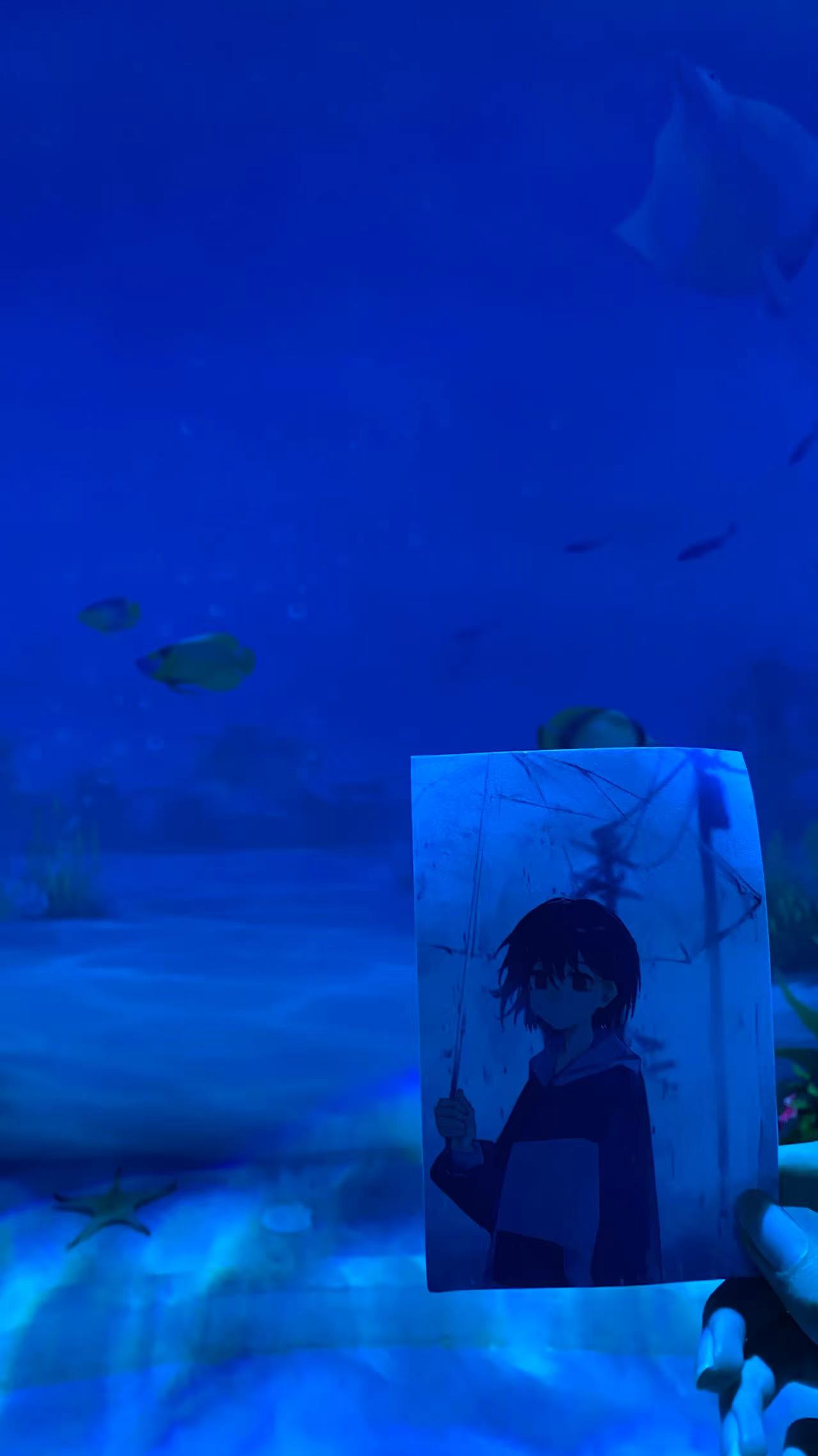 mygo,孤独摇滚,GirlsBandCry,轻音少女,美图,重音teto,初音miku,高松灯,鼓手余命十日谭,avemujica