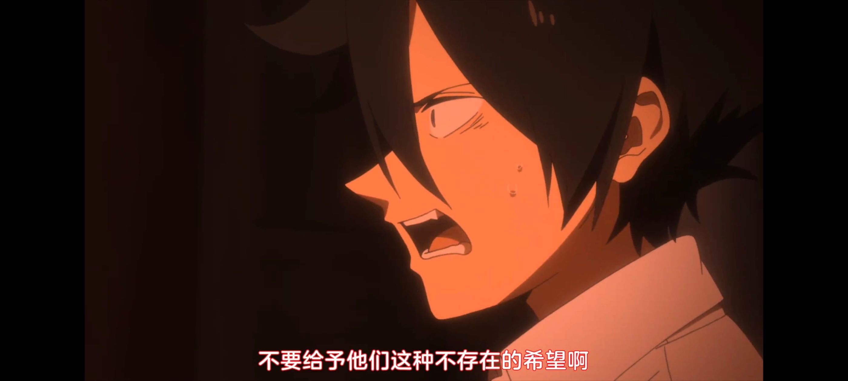 约定的梦幻岛,动画,动漫,番剧,ACG