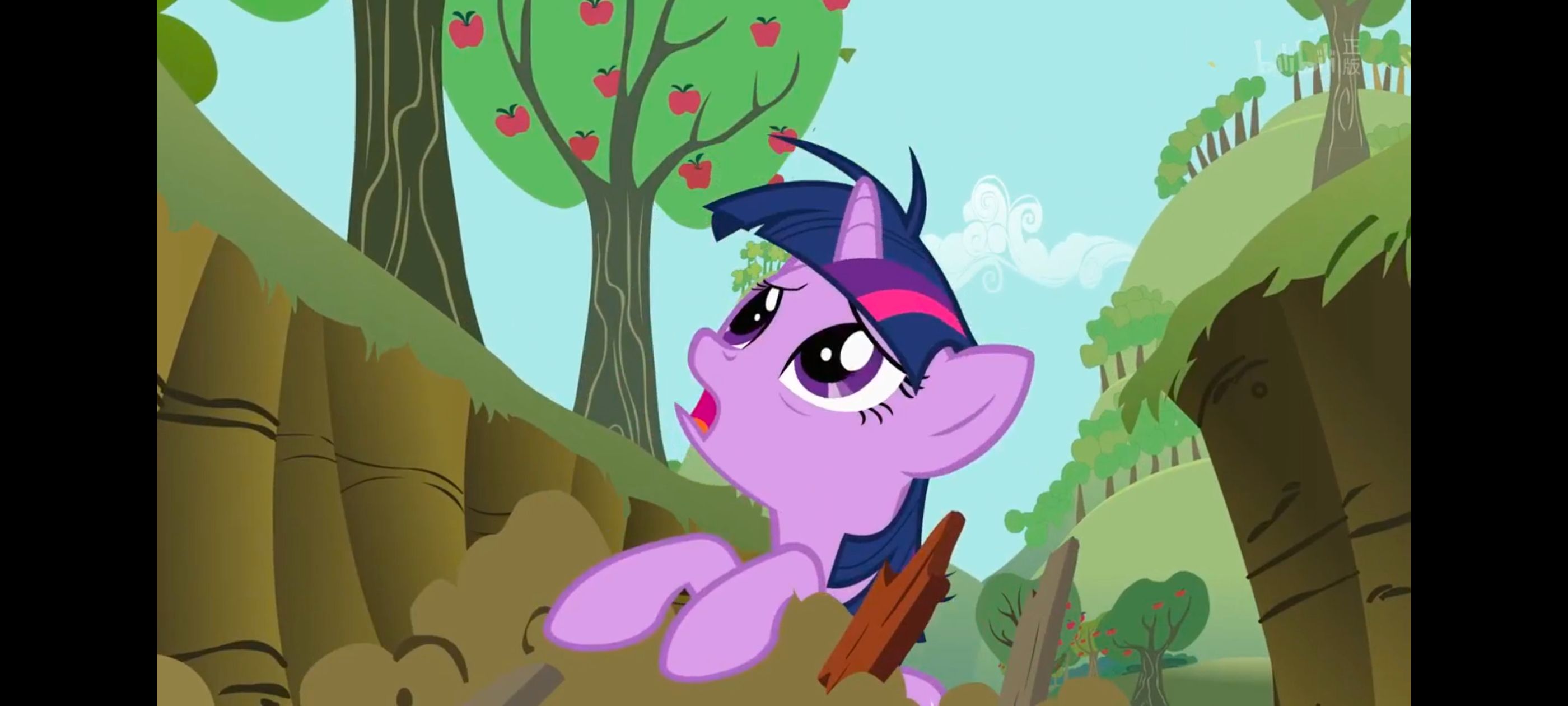 小马宝莉,小马宝莉友谊魔法,彩虹小马,我的小马驹,动画,动漫,番剧,ACG