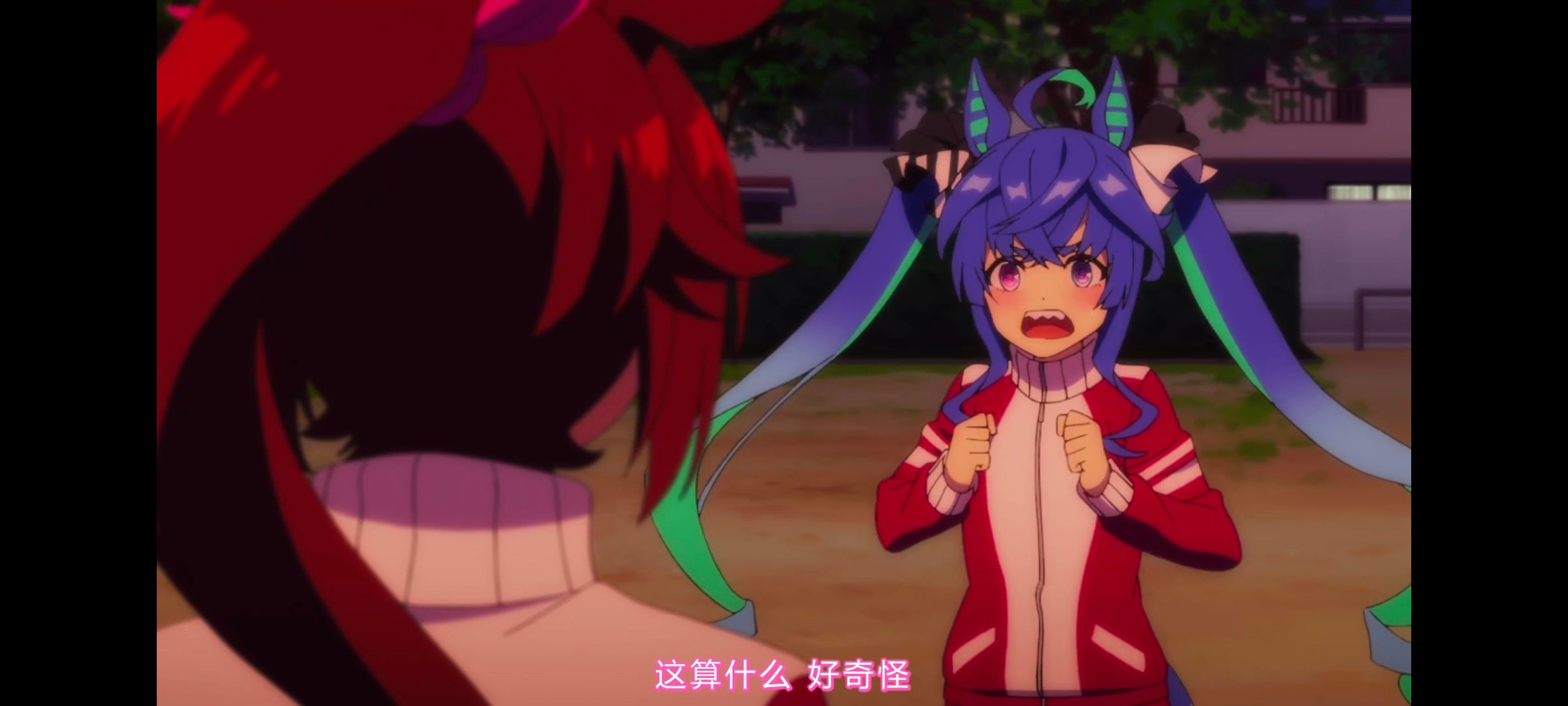 赛马娘,赛马娘PrettyDerby,赛马娘第二季,番剧,动画,动漫,二次元,ACG