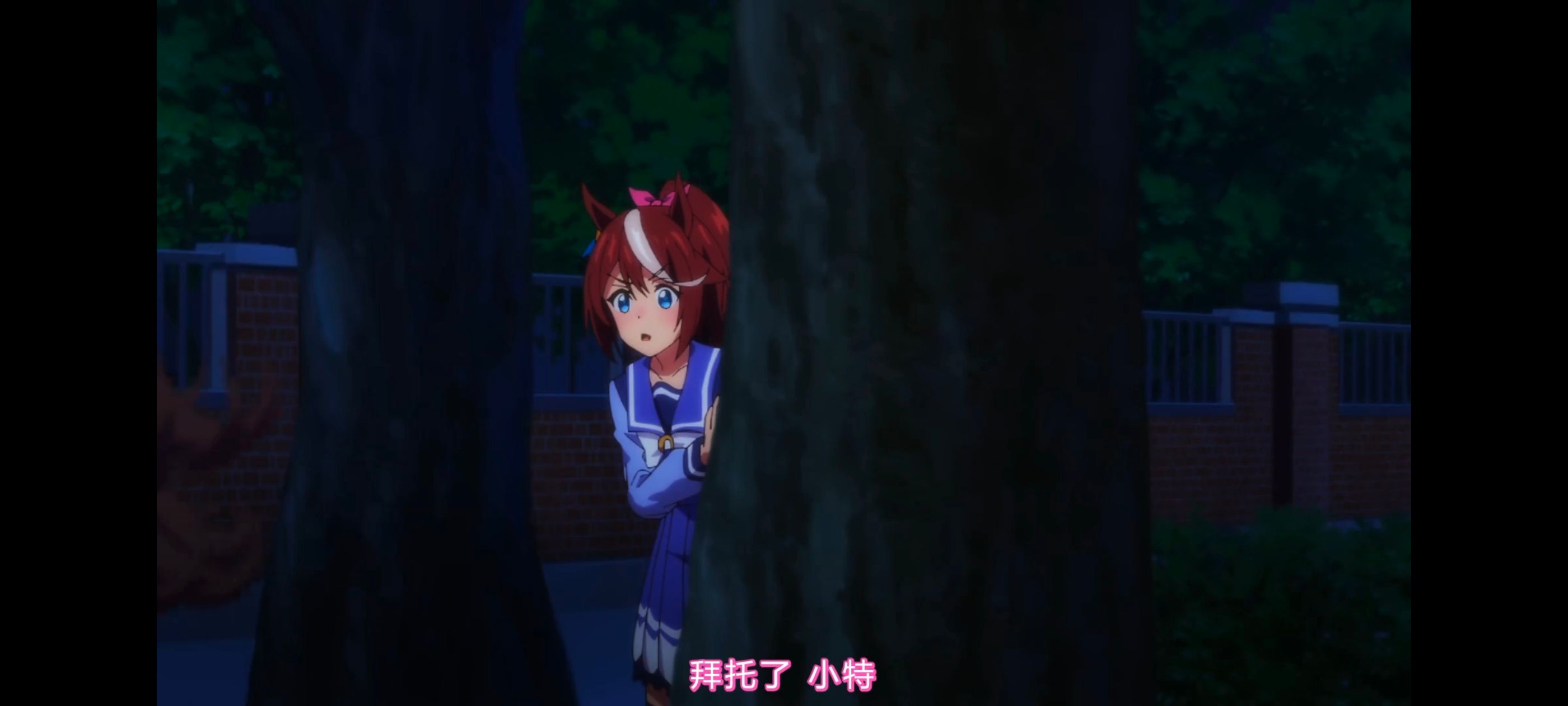 赛马娘,赛马娘第二季,动画,动漫,番剧,二次元,ACG,赛马娘PrettyDerby