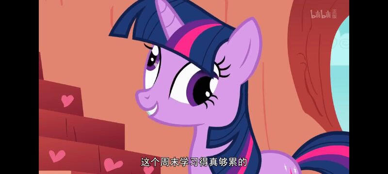 小马宝莉,小马宝莉友谊魔法,彩虹小马,我的小马驹,动画,动漫,番剧,ACG