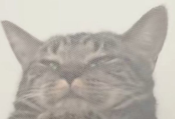 /static/806d46cf7c0831291c2b0c95546c15ee909629ab1fdb46969f544e704a1413c4.jpg