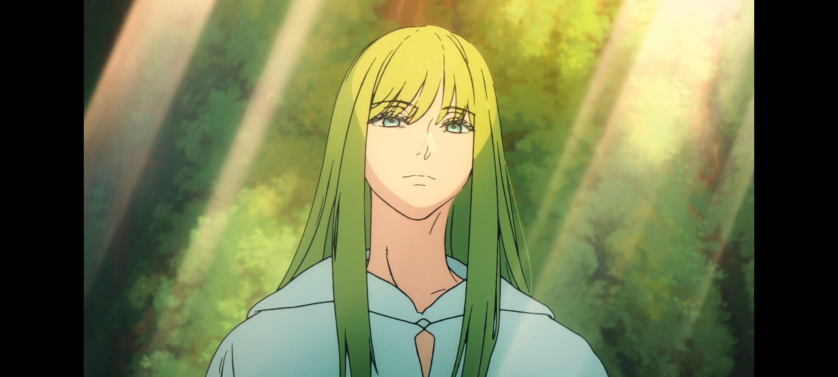 命运奇异赝品,FatestrangeFake,动画,动漫,番剧,ACG