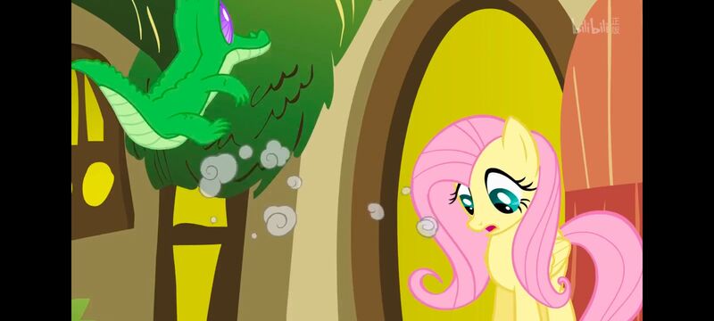 小马宝莉,小马宝莉友谊魔法,彩虹小马,我的小马驹,动画,动漫,番剧,ACG