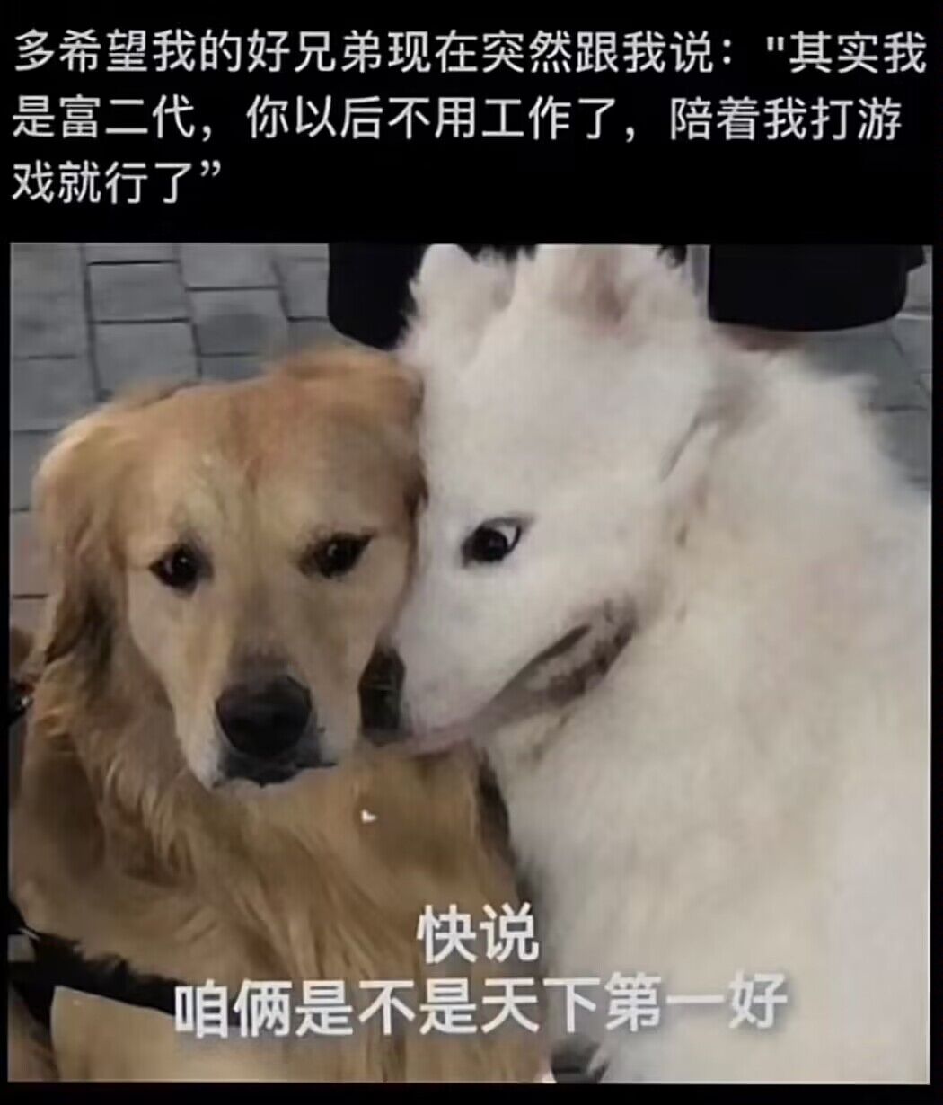 弔图,meme,迷因