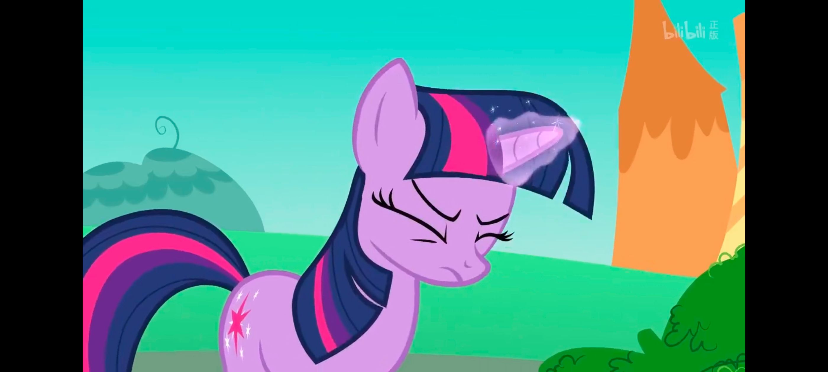 小马宝莉,小马宝莉友谊魔法,彩虹小马,我的小马驹,动画,动漫,番剧,ACG