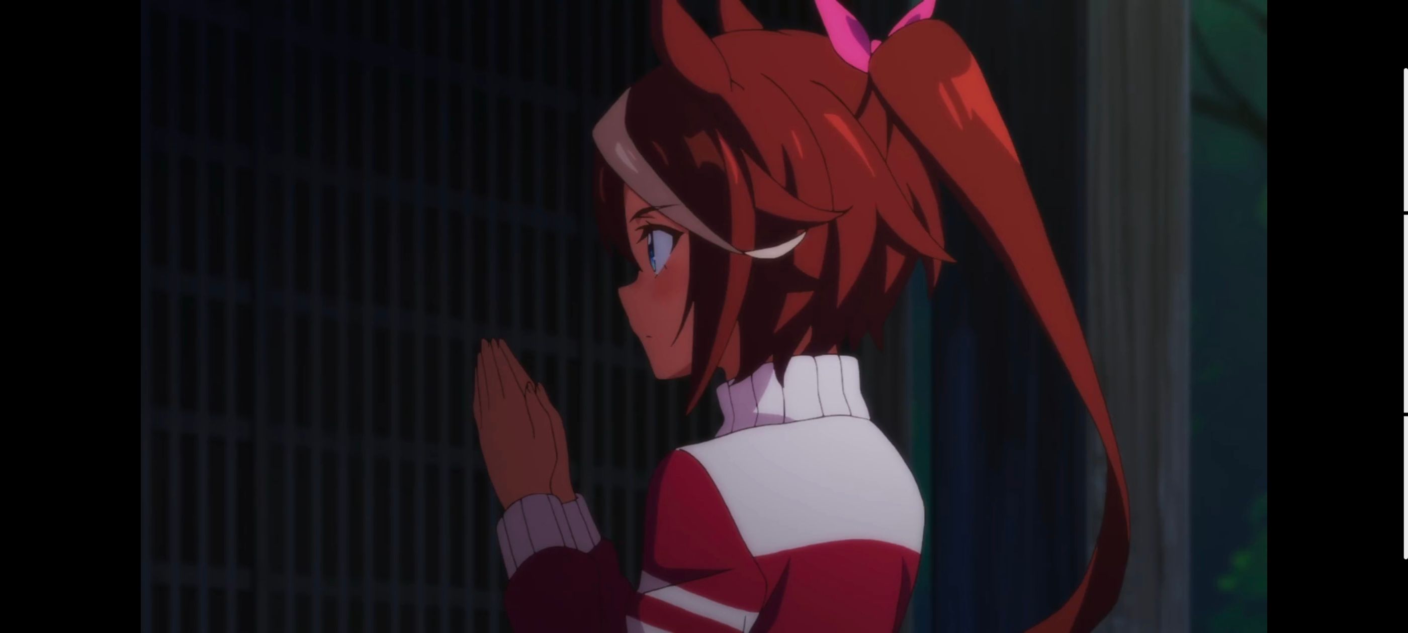 赛马娘,赛马娘PrettyDreby,赛马娘第二季,动画,动漫,番剧,ACG