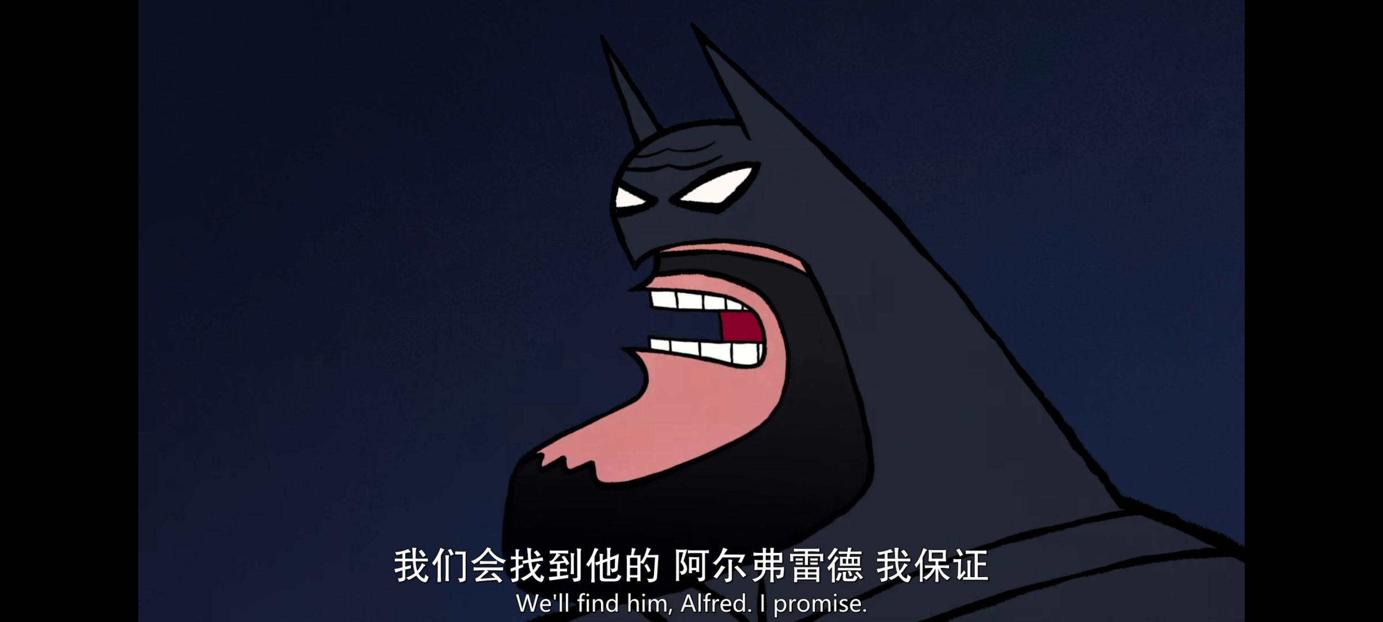 蝙蝠侠家族,蝙蝠侠一家,DC,动画,动漫,番剧,ACG