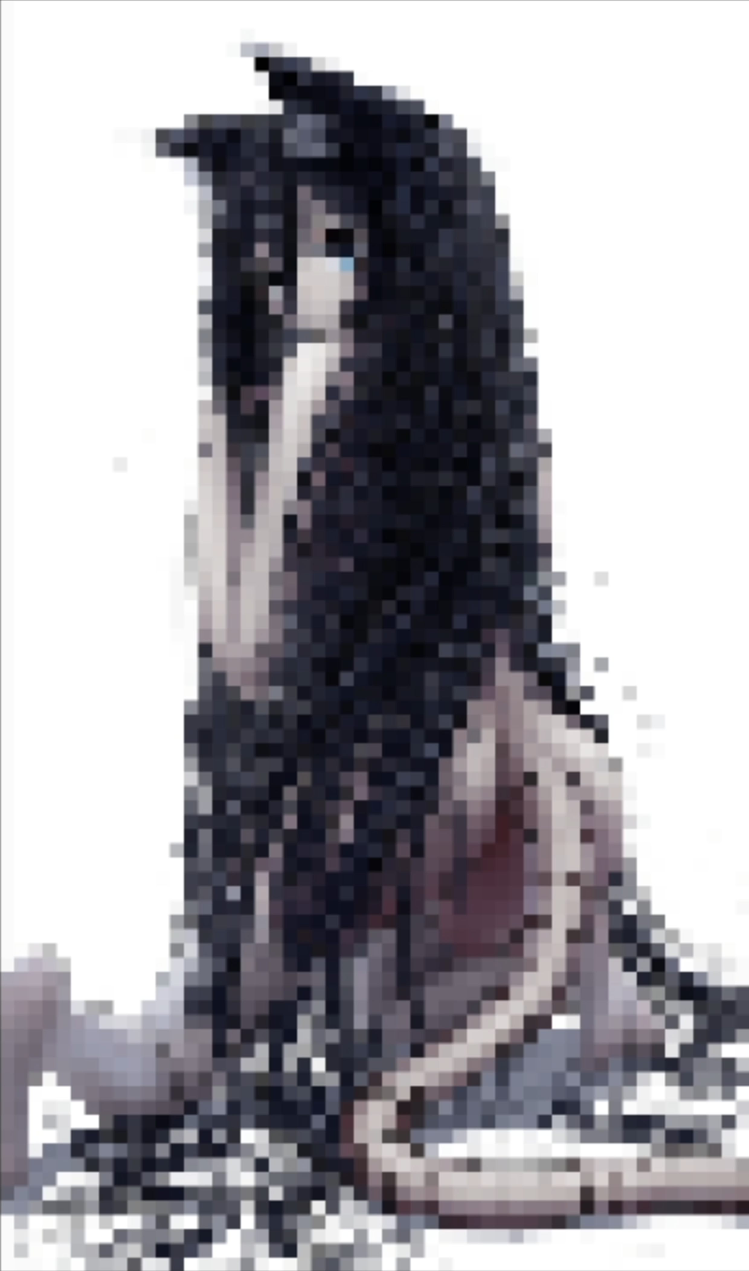 のの