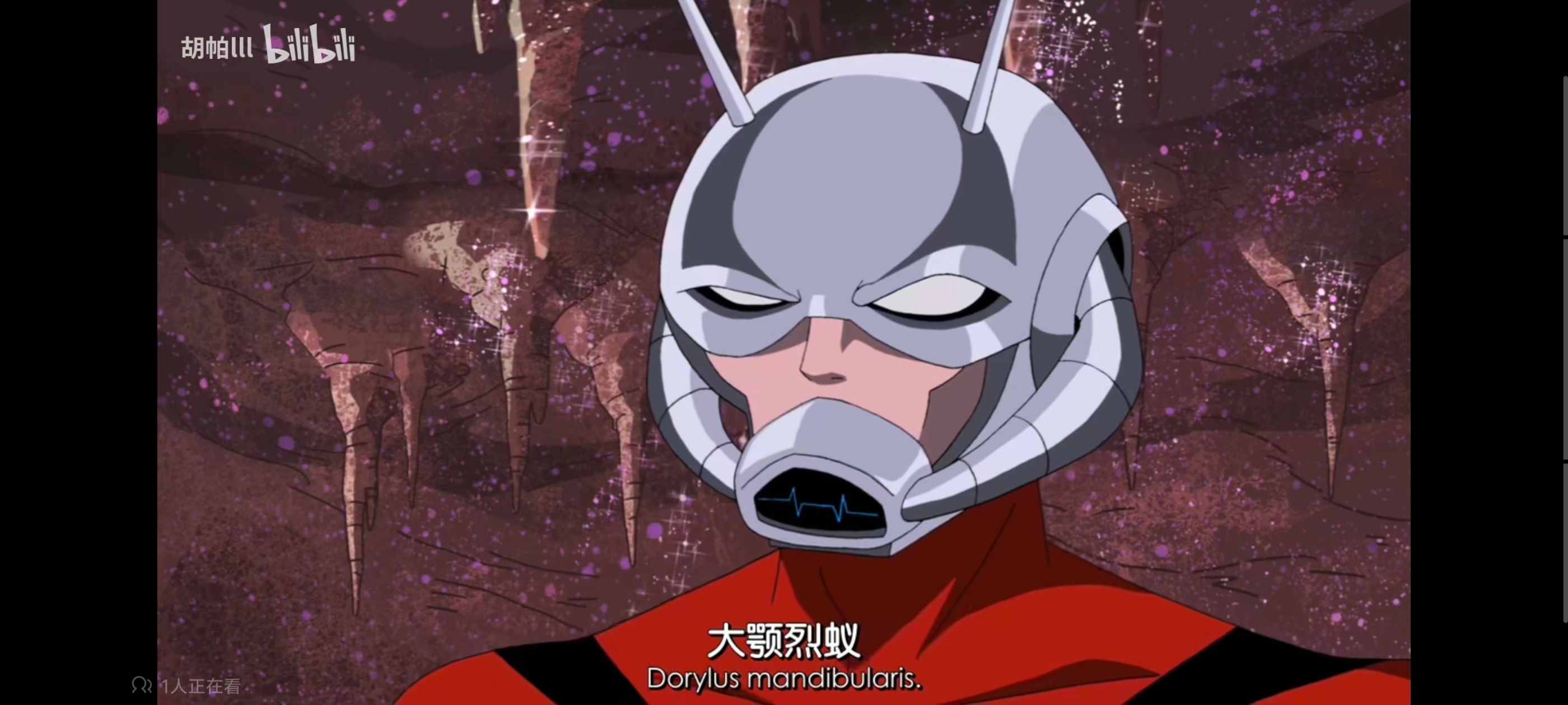 复仇者世上最强英雄组合,复仇者联盟,漫威,超级英雄,动漫,动画,番剧,ACG