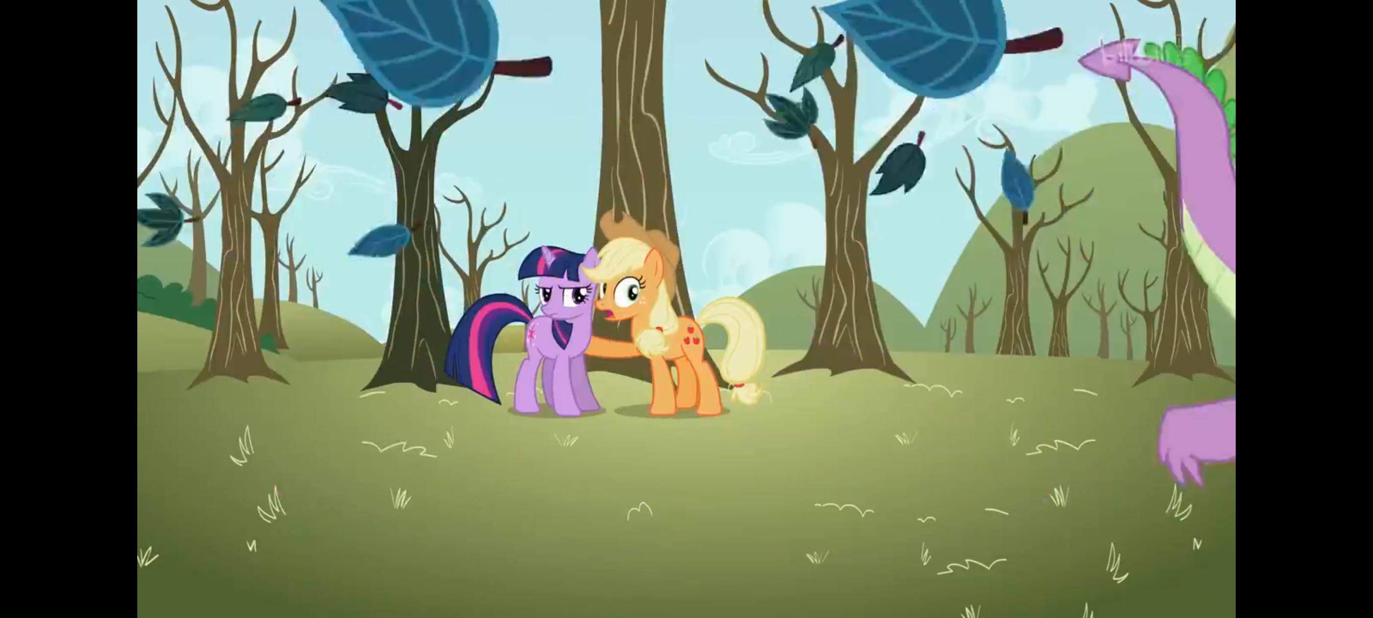 小马宝莉,彩虹小马,我的小马驹,动画,动漫,番剧,二次元,ACG