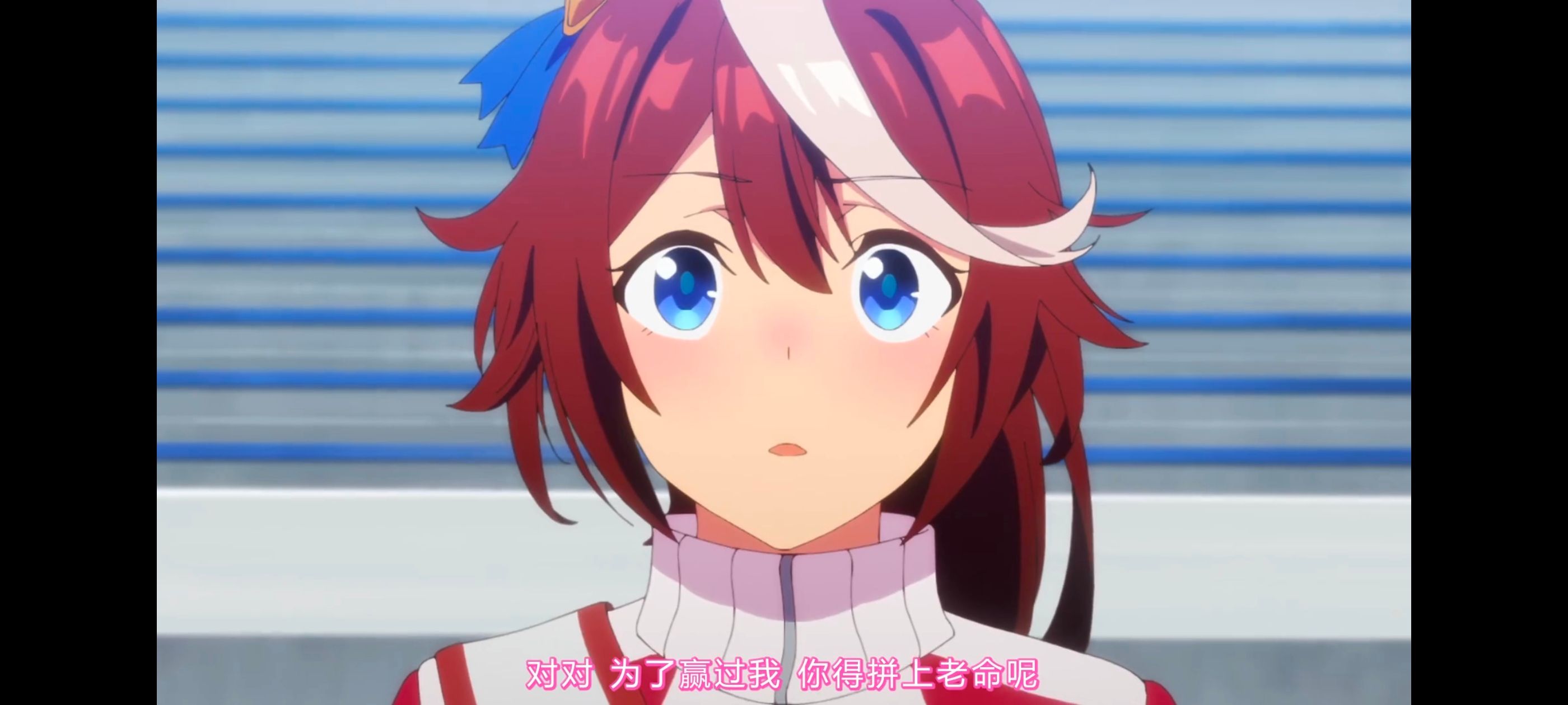 赛马娘,赛马娘PrettyDreby,动画,动漫,番剧,ACG