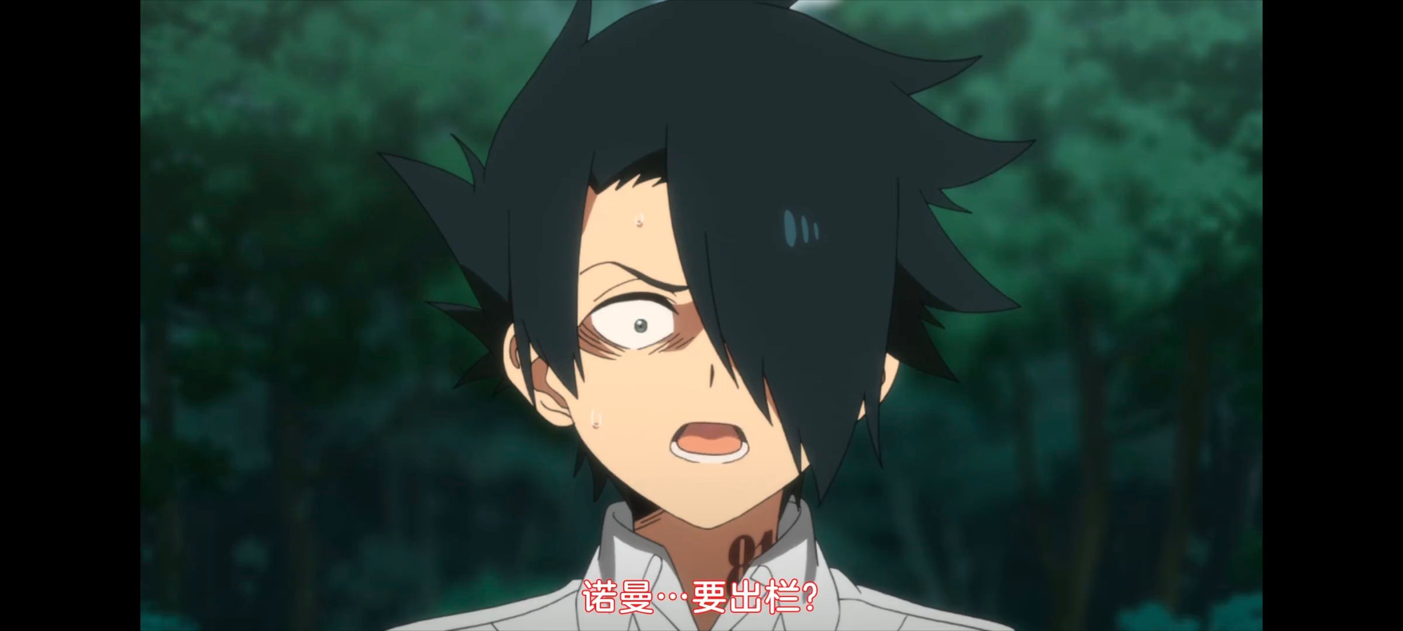 约定的梦幻岛,动画,动漫,番剧,二次元,ACG