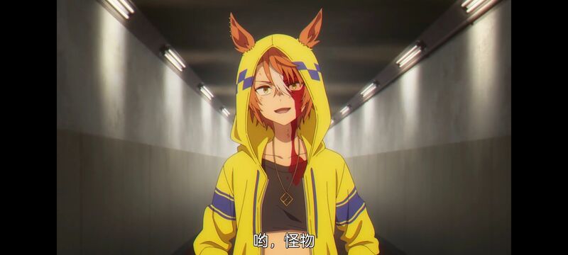 赛马娘,赛马娘PrettyDreby,芦毛灰姑娘,赛马娘芦毛灰姑娘,动画,动漫,番剧,ACG