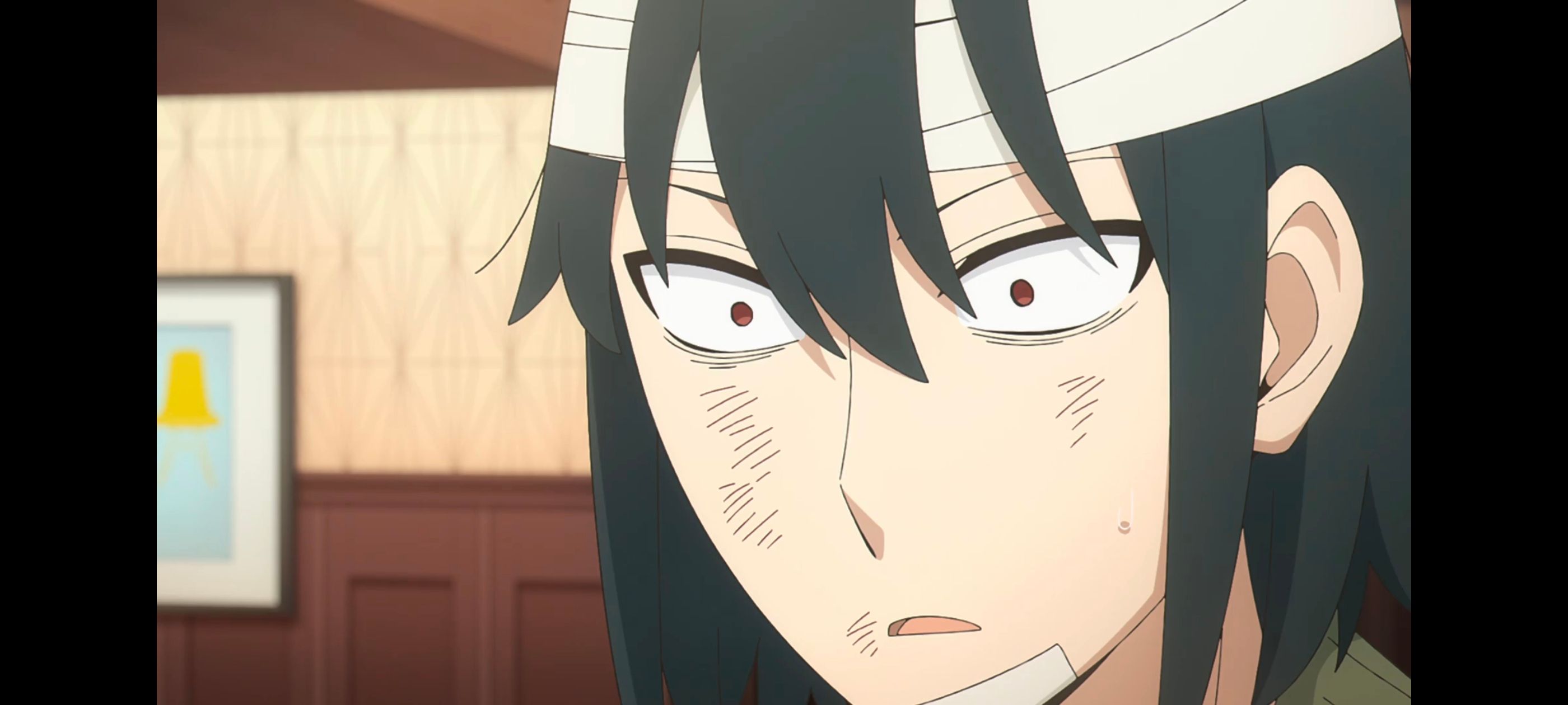 间谍过家家,SPYFAMILY,动画,动漫,番剧,ACG