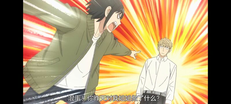 间谍过家家,SPYFAMILY,动画,动漫,番剧,ACG