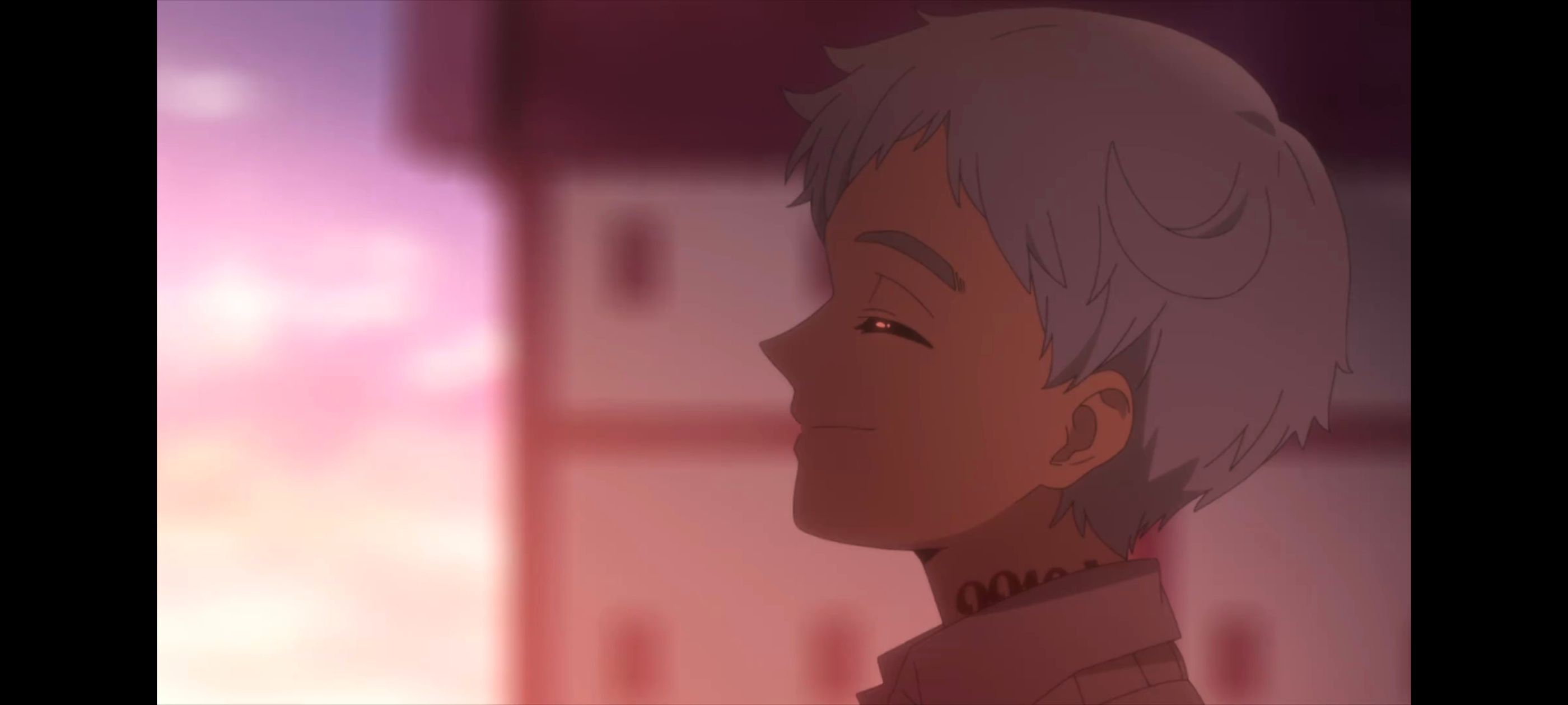 约定的梦幻岛,动画,动漫,番剧,二次元,ACG