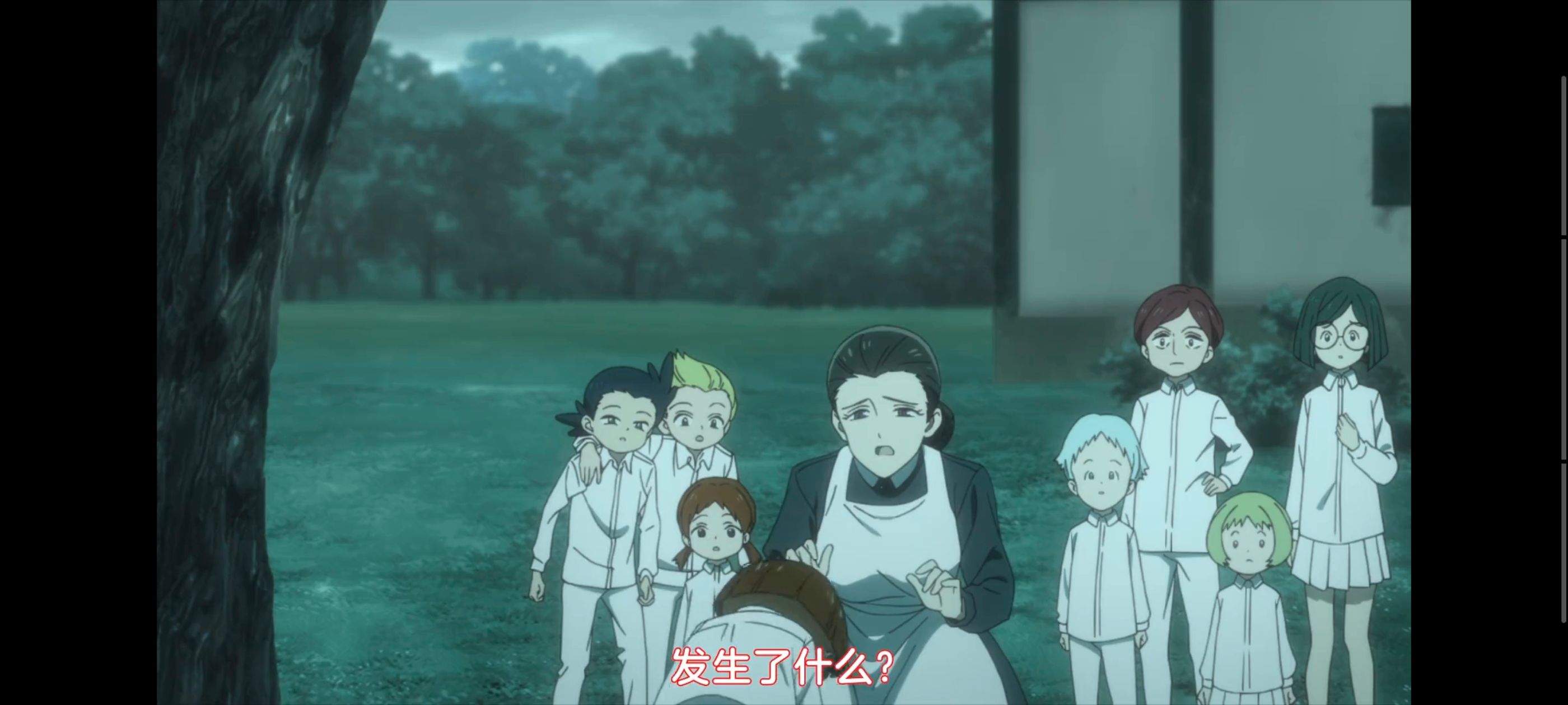 约定的梦幻岛,动画,动漫,番剧,ACG