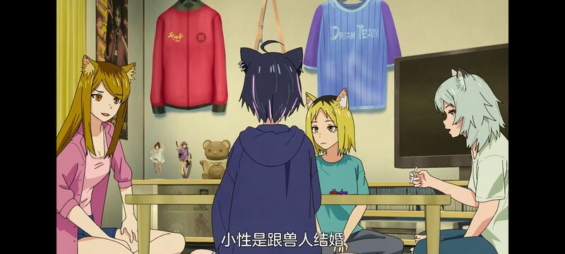 尼古喵喵,雅尼猫,动画,动漫,番剧,日漫,二次元,ACG