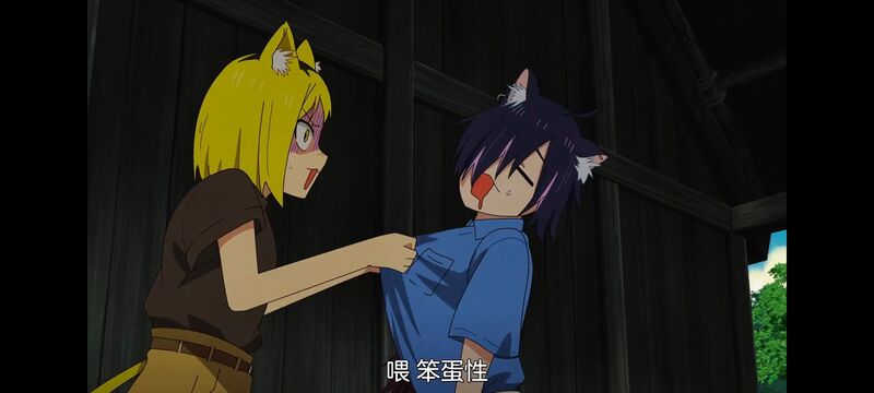尼古喵喵,雅尼猫,动画,动漫,番剧,日漫,二次元,ACG
