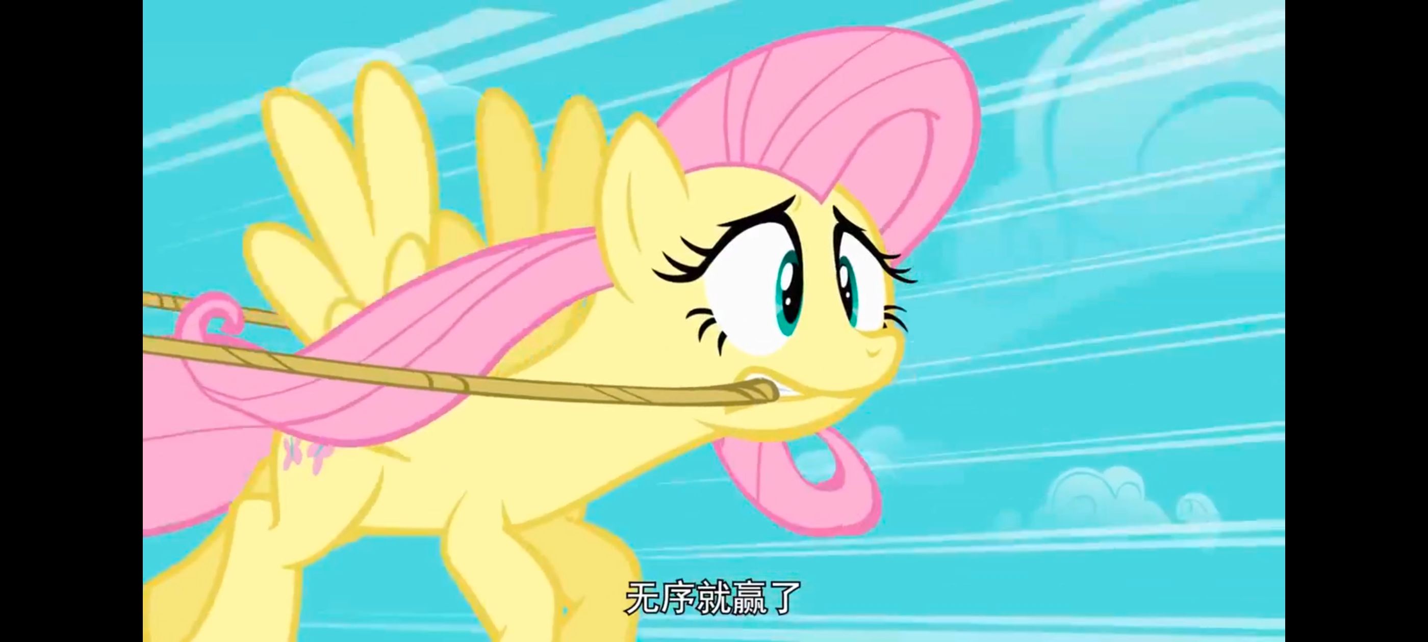 小马宝莉,彩虹小马,我的小马驹,小马宝莉友谊魔法,动漫,动画,番剧,ACG