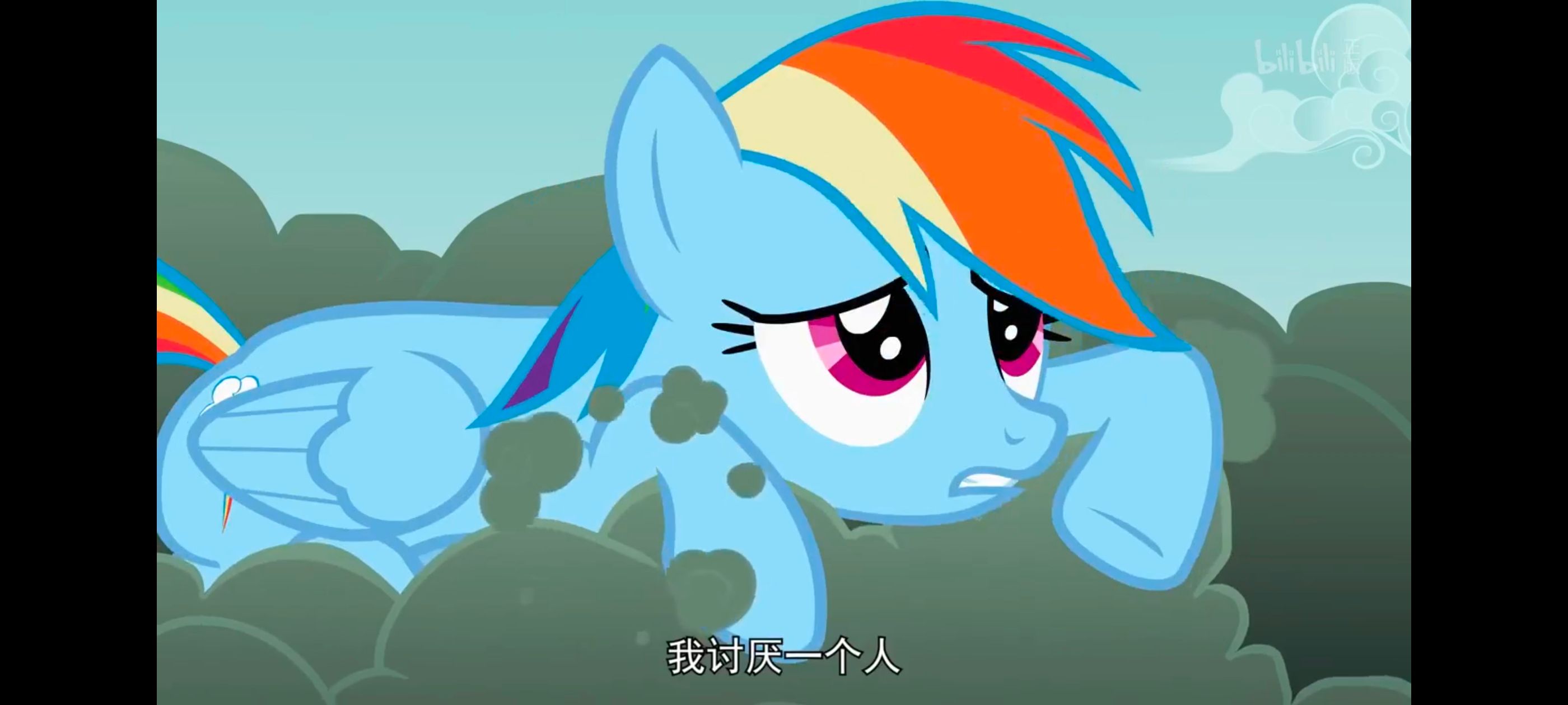 小马宝莉,彩虹小马,我的小马驹,动画,动漫,番剧,ACG