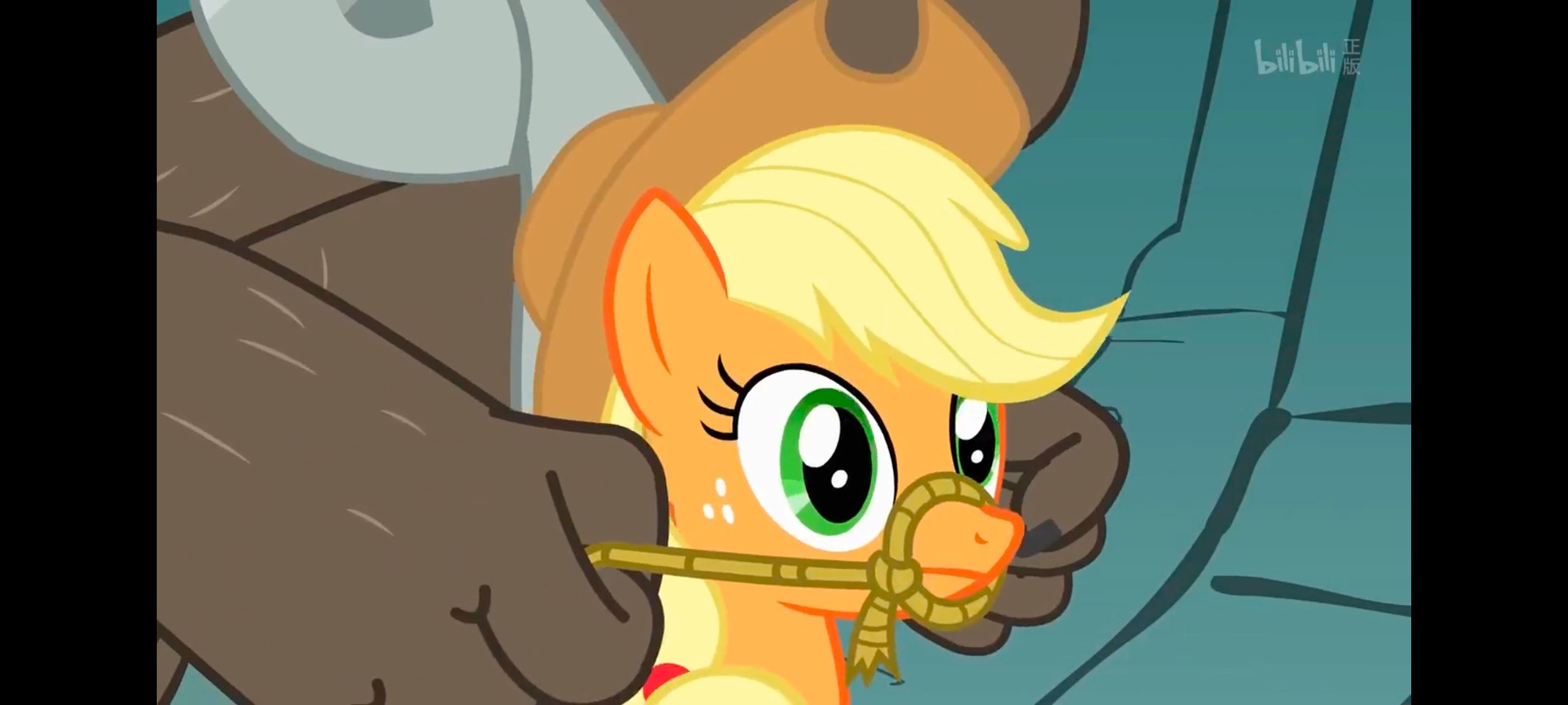 彩虹小马,小马宝莉,我的小马驹,小马宝莉友谊魔法,动画,动漫,番剧,ACG