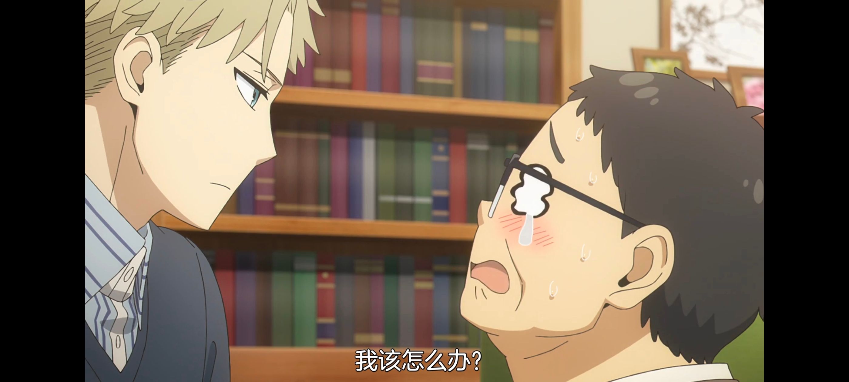 间谍过家家,SPYFAMILY,动画,动漫,番剧