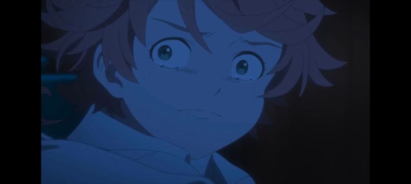 约定的梦幻岛,动画,动漫,番剧,ACG