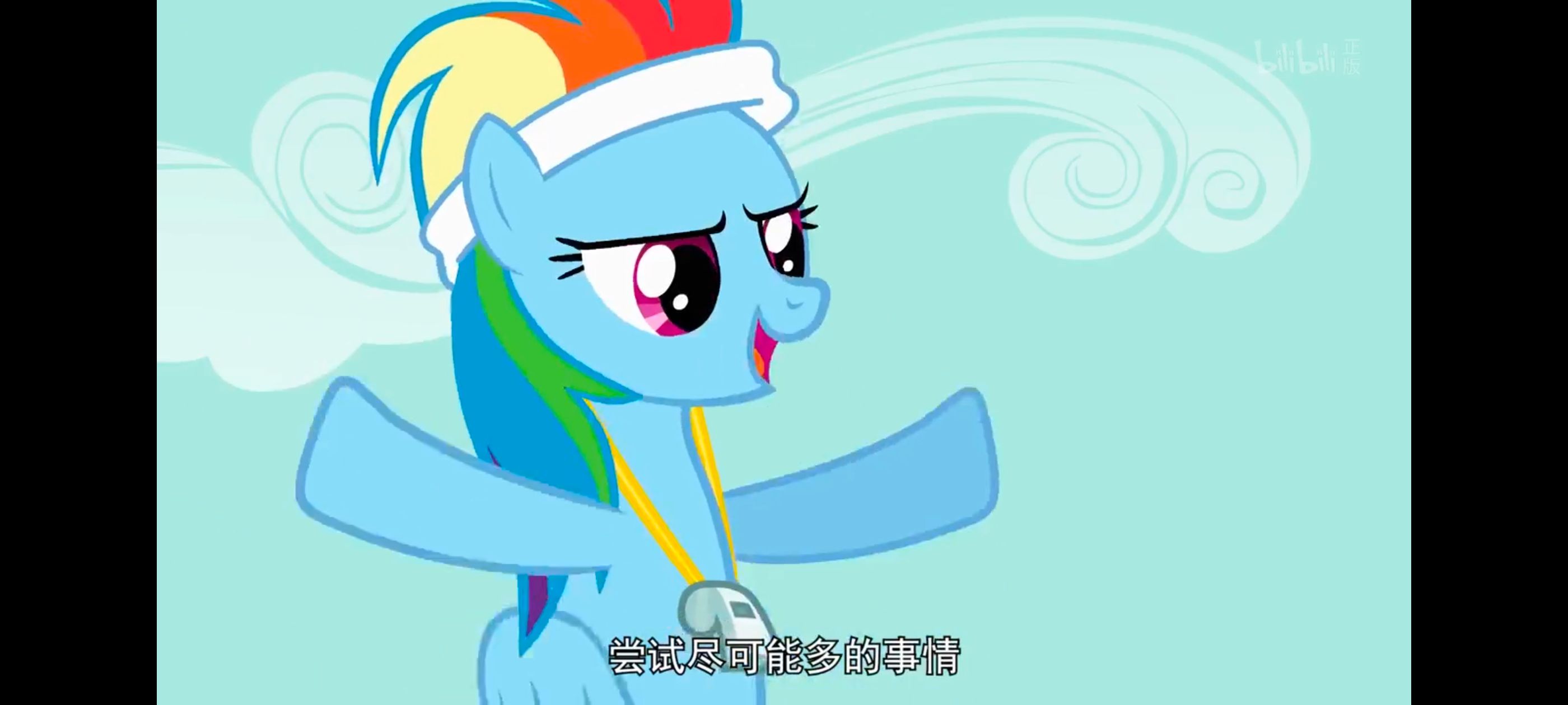 小马宝莉,小马宝莉友谊魔法,彩虹小马,我的小马驹,动画,动漫,番剧,ACG