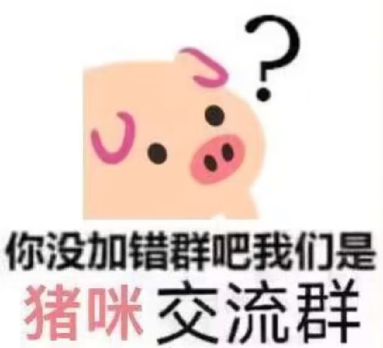 猪猪表情包,表情包,猪猪,骨骼猪